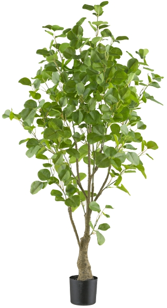 Gasper Kunstpflanzen Eukalyptus im Kunststofftopf H: 130 cm  | Schubiger Möbel