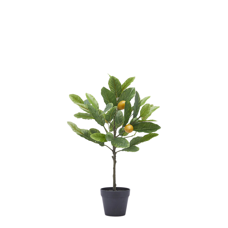 Edg Kunstpflanze Zitronenbaum H: 48 cm  | Schubiger Möbel