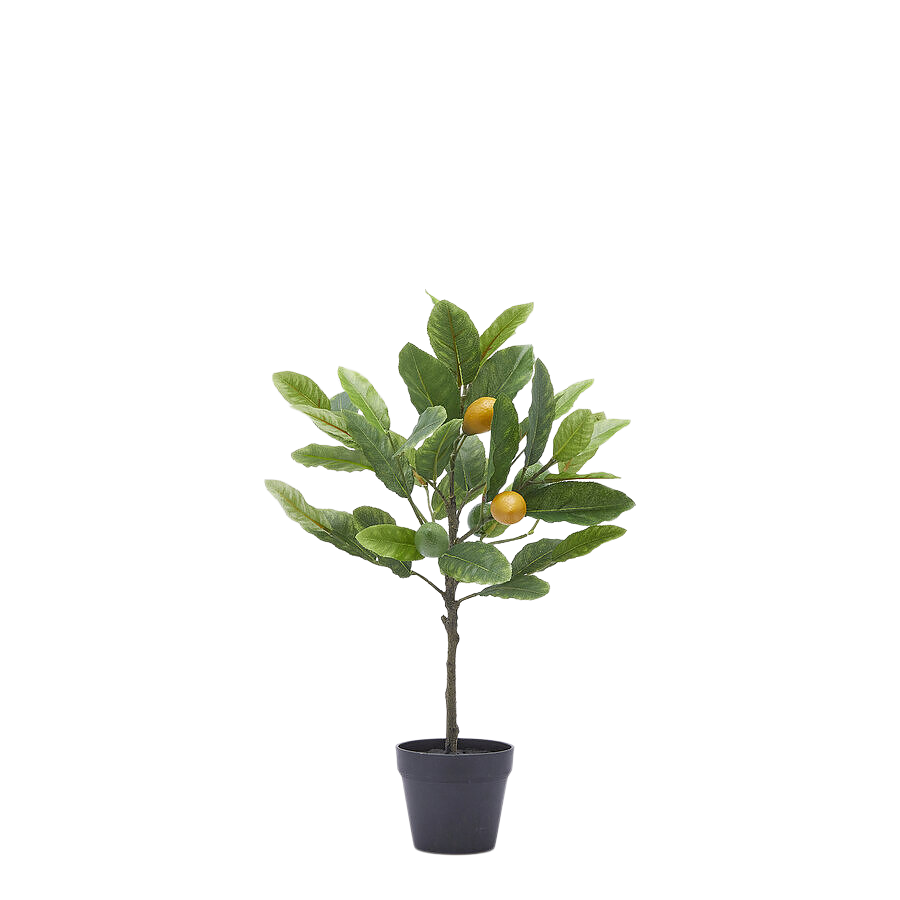Artificial lemon tree H: 48 cm Edg