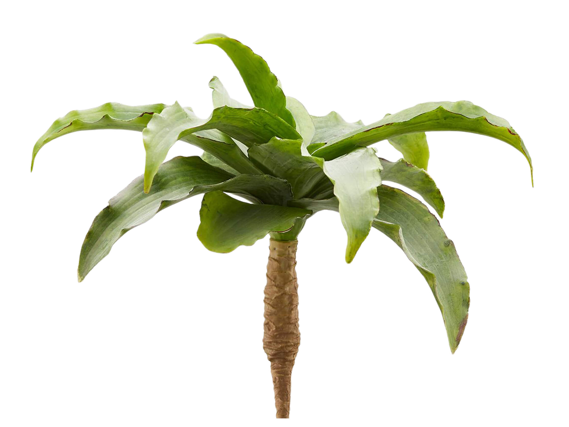 Kunstblume Kalanchoe H: 25 cm Edg