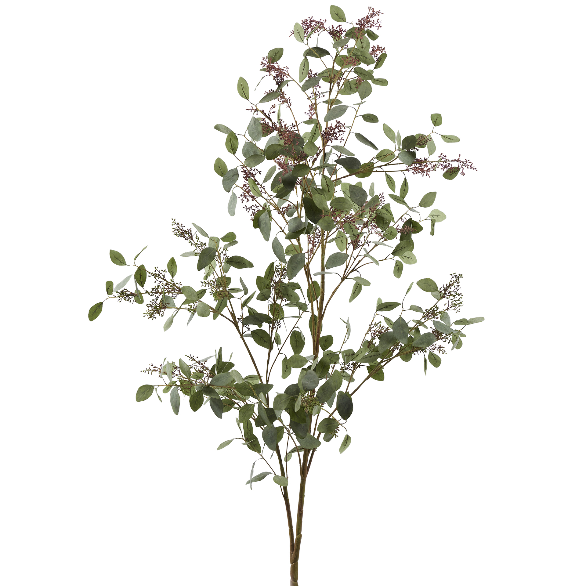 Edg Kunstpflanze Eucalyptusbaum H: 178 cm  | Schubiger Möbel