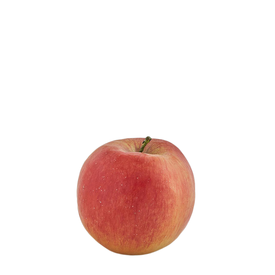 Edg Kunstobst Apfel Rot Rot | Schubiger Möbel