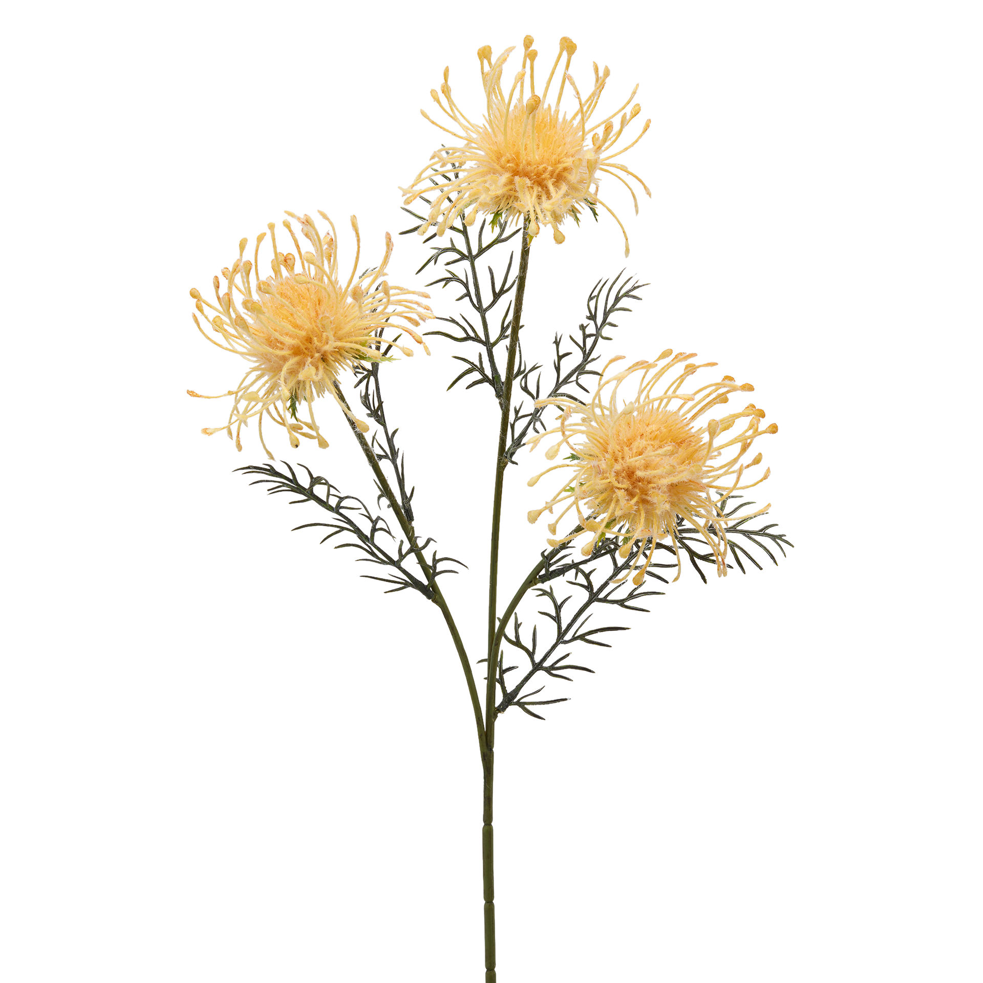 Kunstblumen Protea H: 65 cm Edg