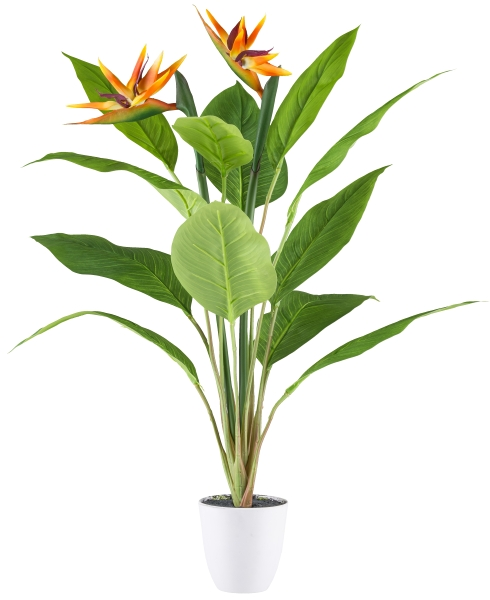 Gasper Kunstpflanzen Strelitzia im Kunststofftopf H: 80 cm  | Schubiger Möbel