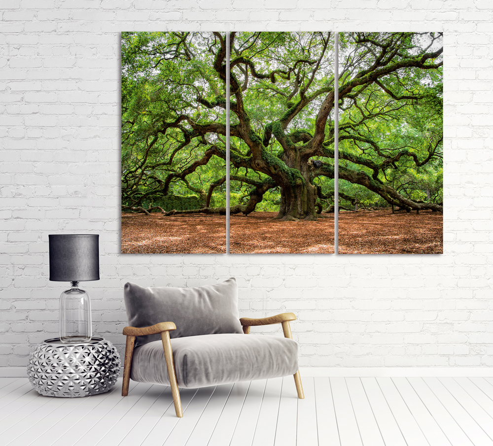 Alubild-Verzweigter Baum-image LAND