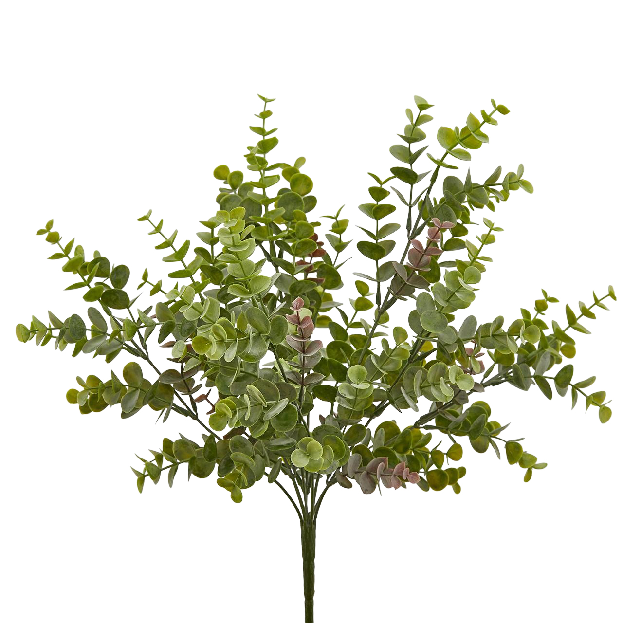 Kunstblumen Eukalyptus Grün H: 44 cm Edg