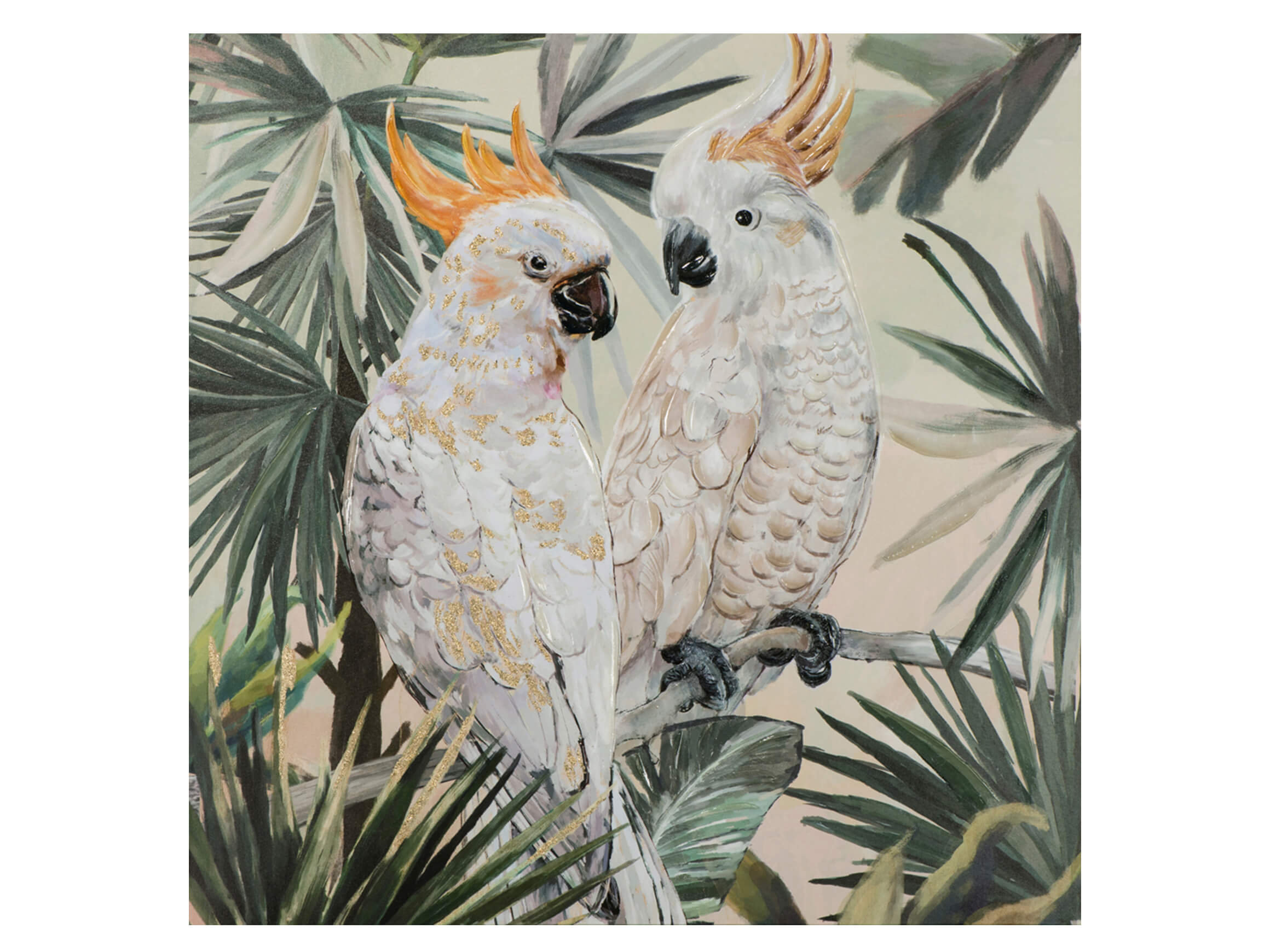 Bild Zwei Kakadus image LAND