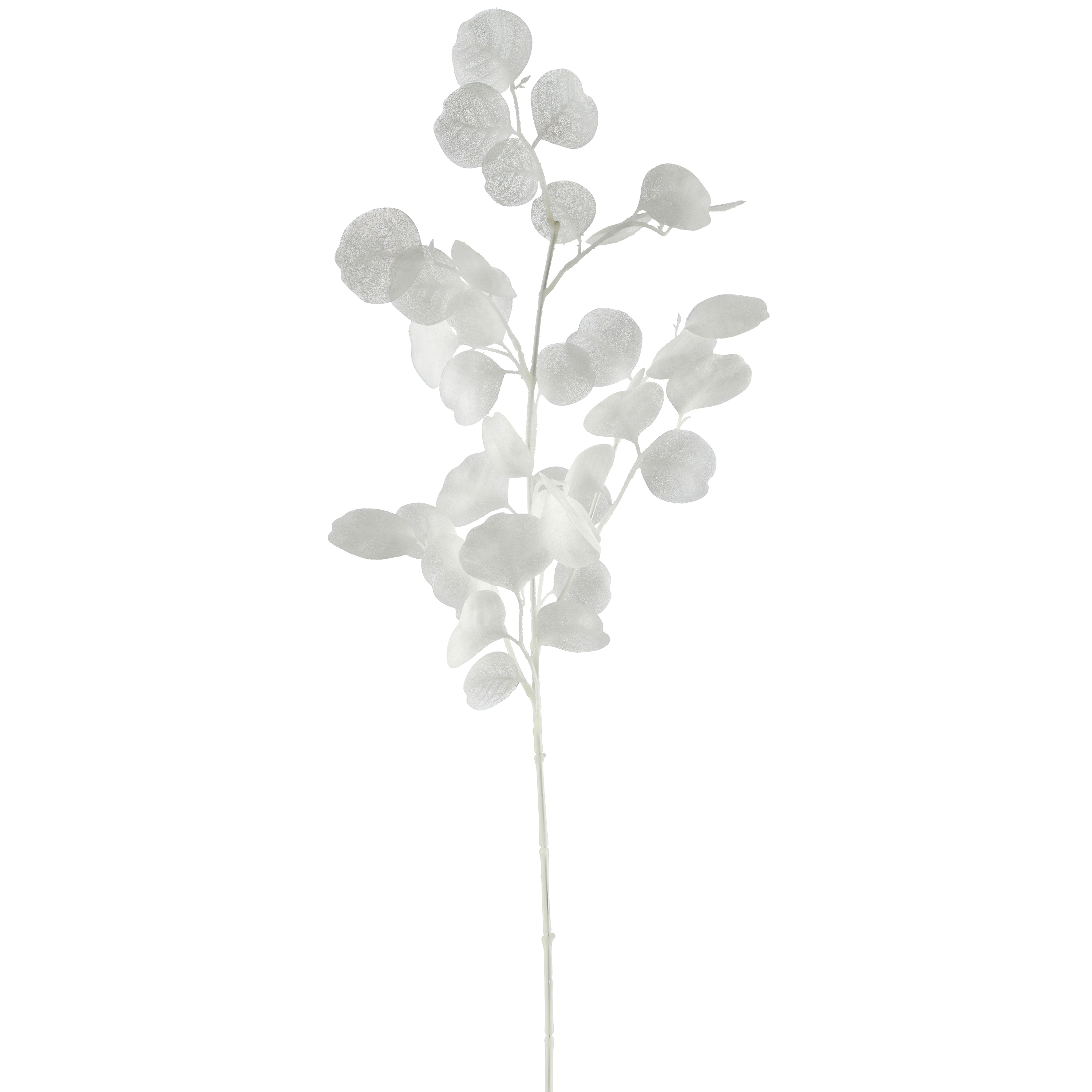 Gasper Kunstblume Eukalyptuszweig, Weiss  | Schubiger Möbel