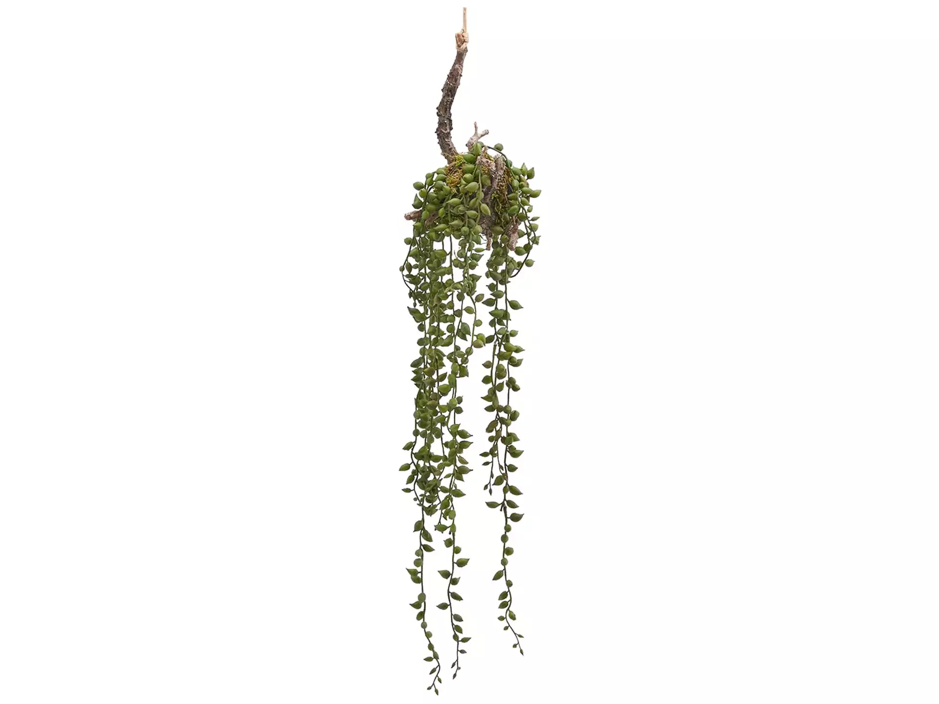 Kunstpflanze Hängesenecio H: 56 cm Edg