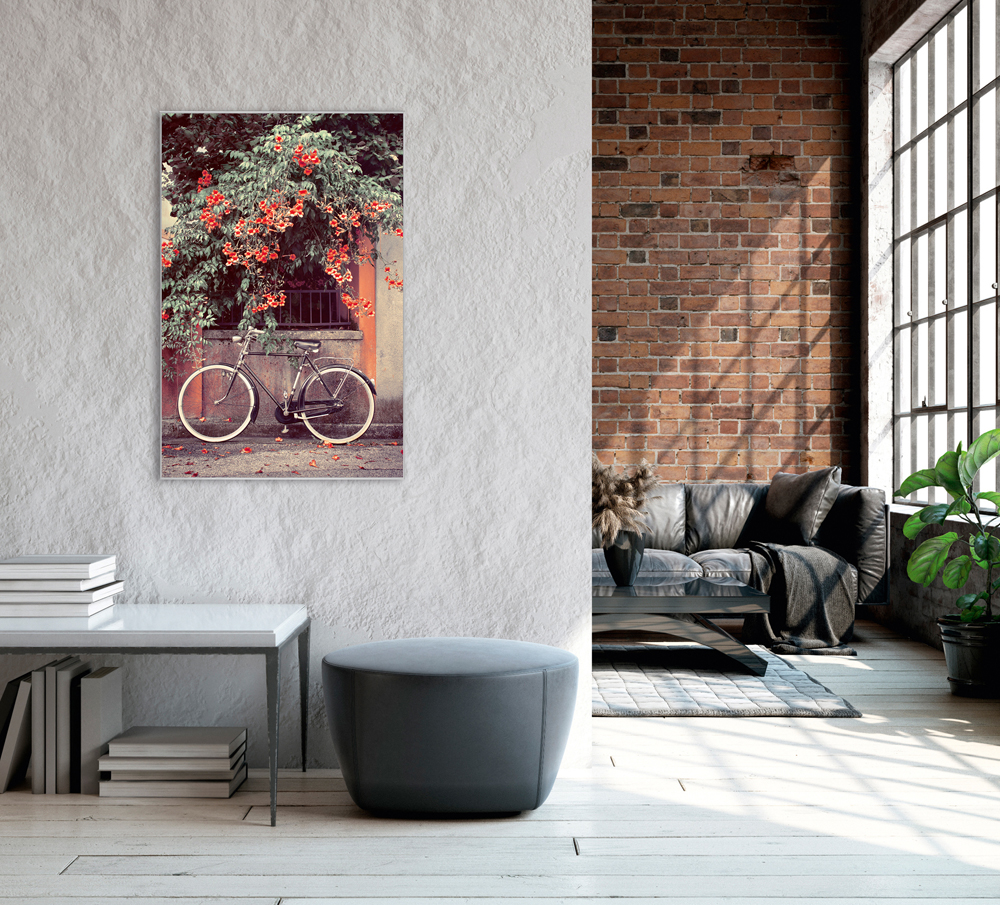 Bild mit Rahmen-Fahrrad Unter Roten Blüten-image LAND