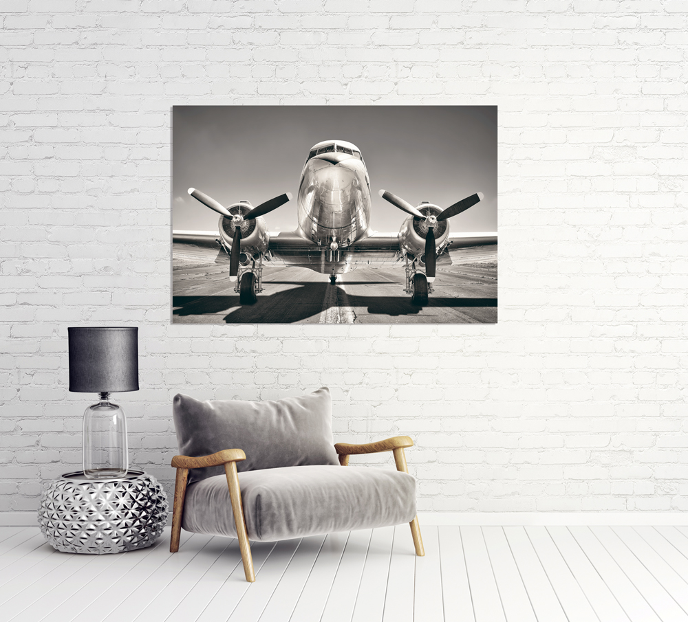Alubild-Flugzeug 2-image LAND