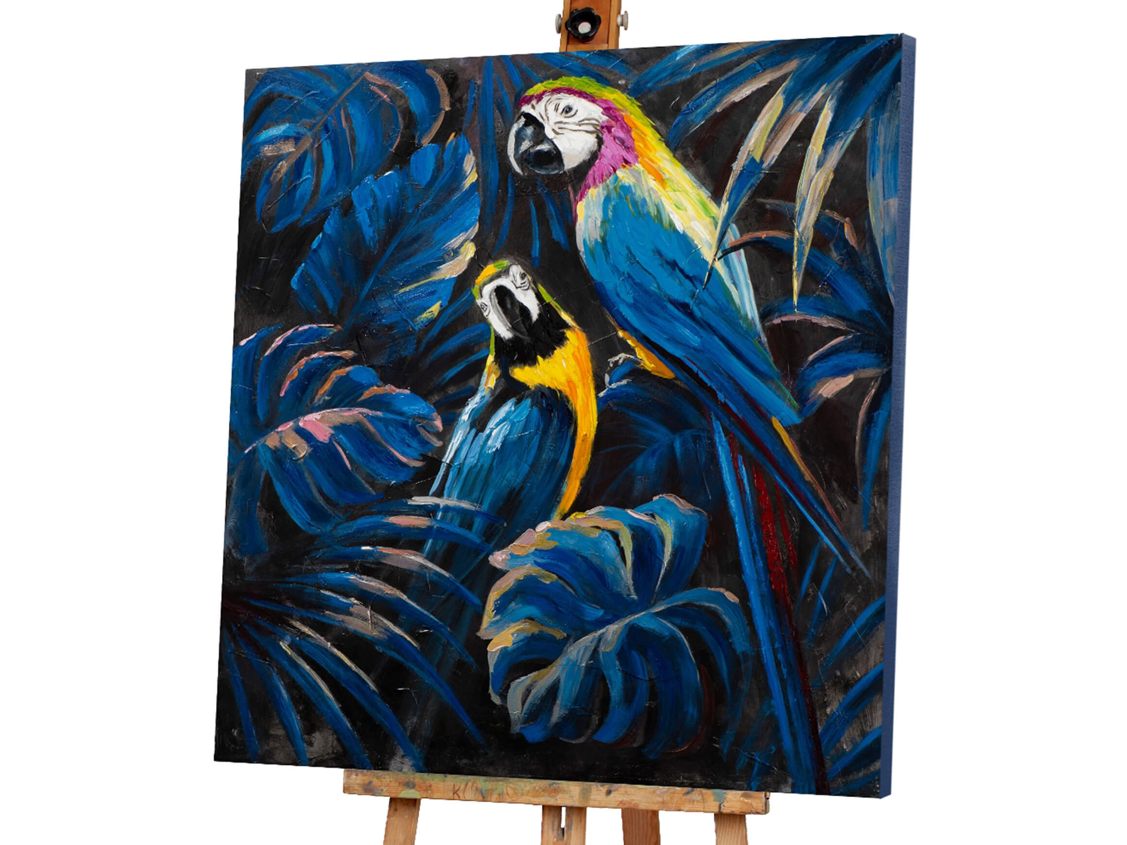 Bild Verliebte Ara Papageien image LAND