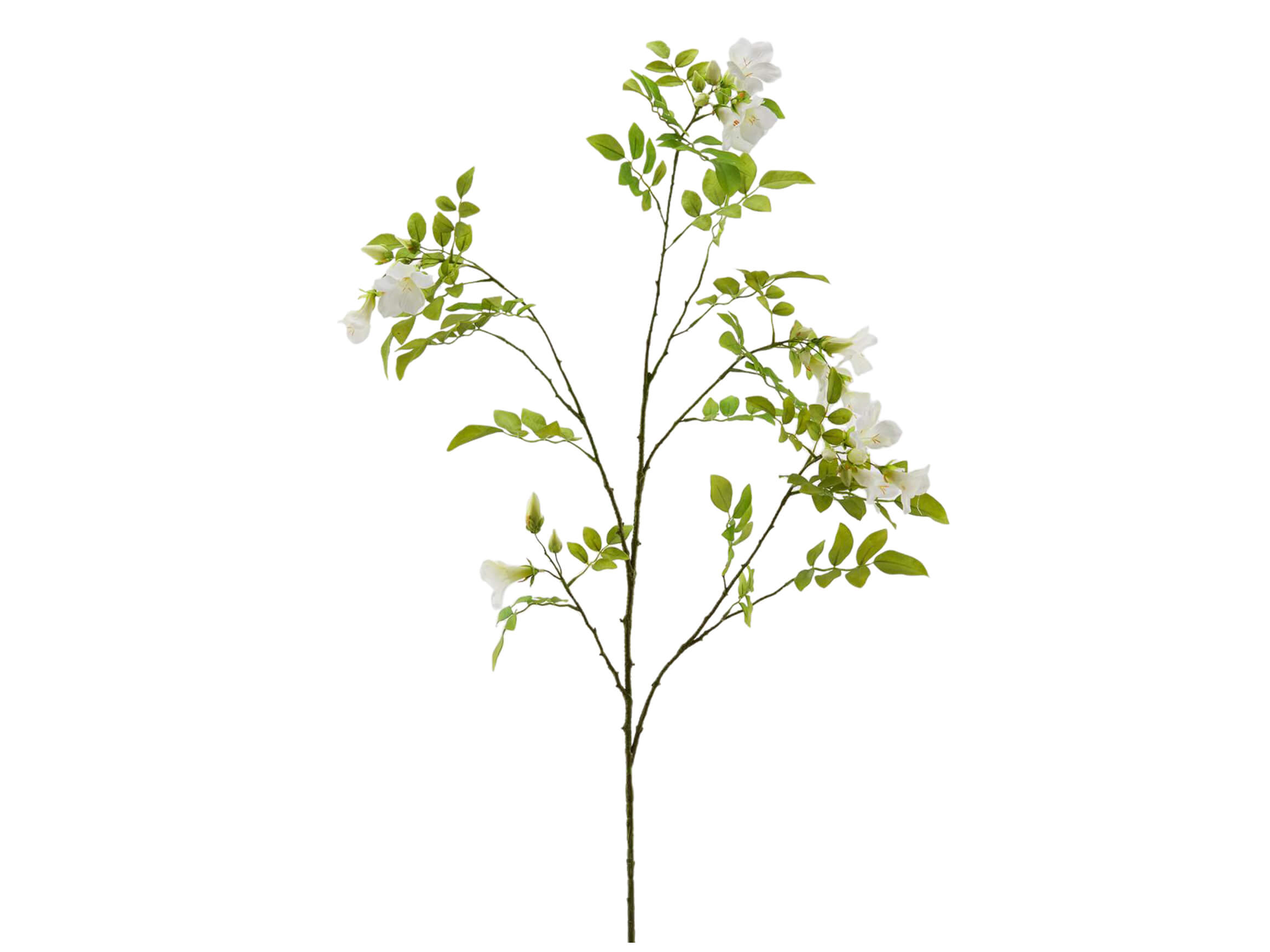 Edg Kunstblumen Glockenblume Weiss H: 120 cm  | Schubiger Möbel