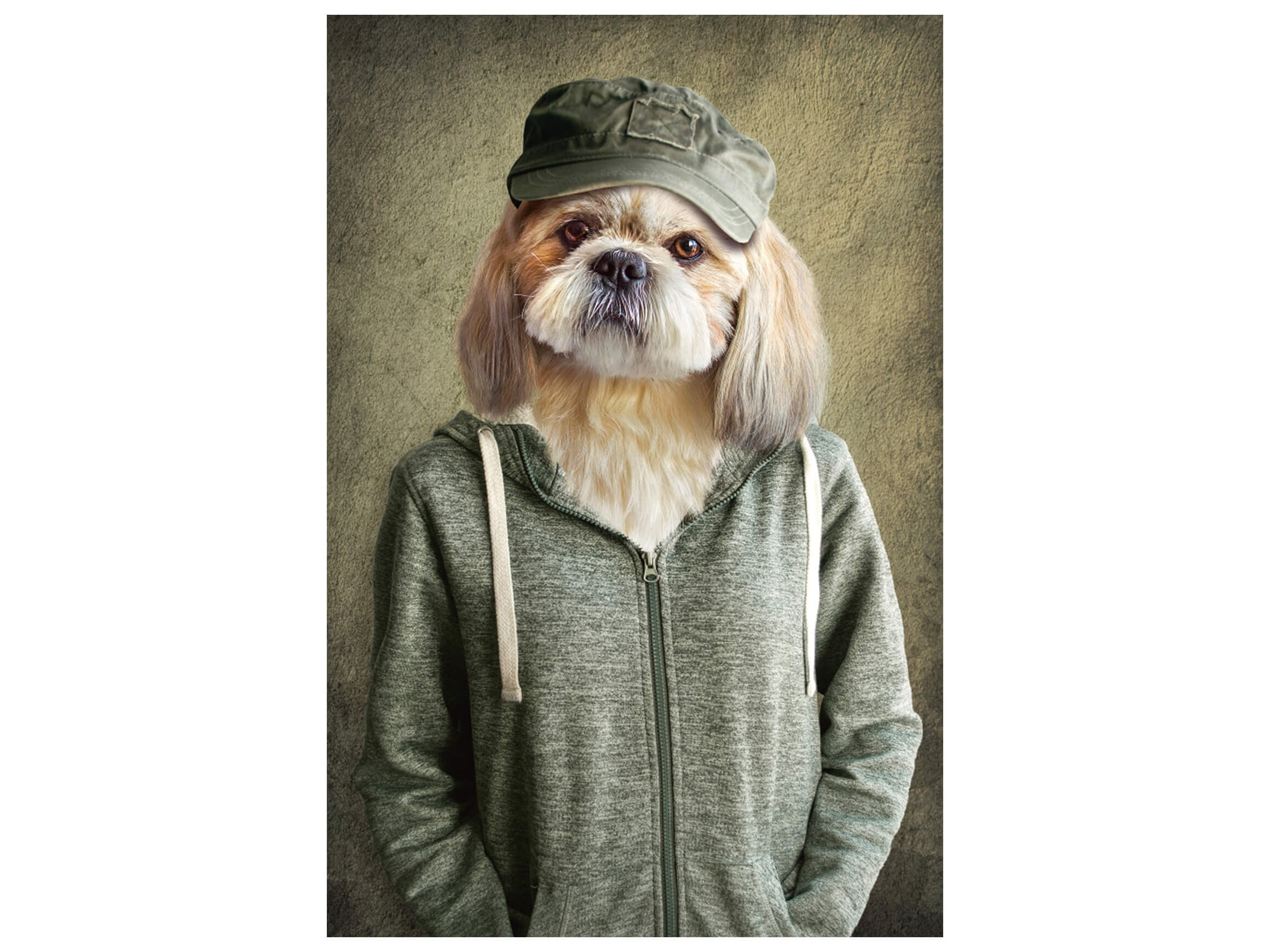 Digitaldruck auf Glas Witziger Hund mit Jacke image LAND