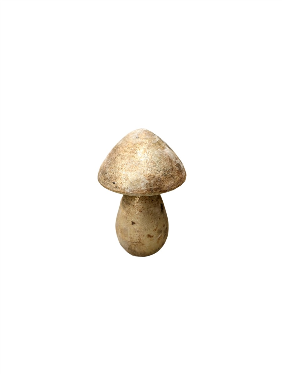 Pilz Shineleaf s Glas H: 14 cm Decofinder