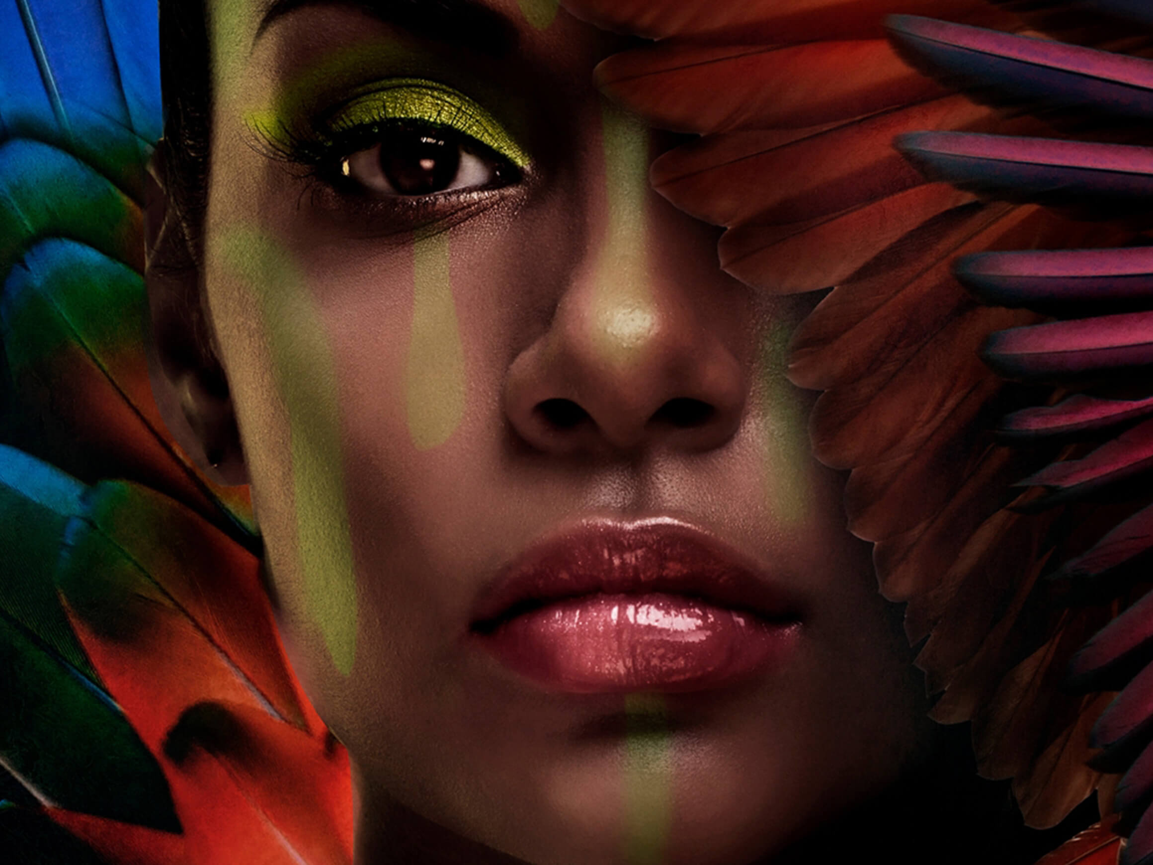 Digitaldruck auf Glas Dunkle Schönheit mit Federn image LAND