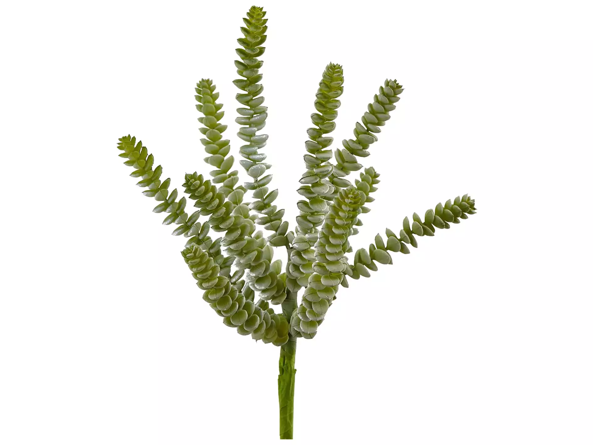Kunstpflanze Grün h: 35 cm