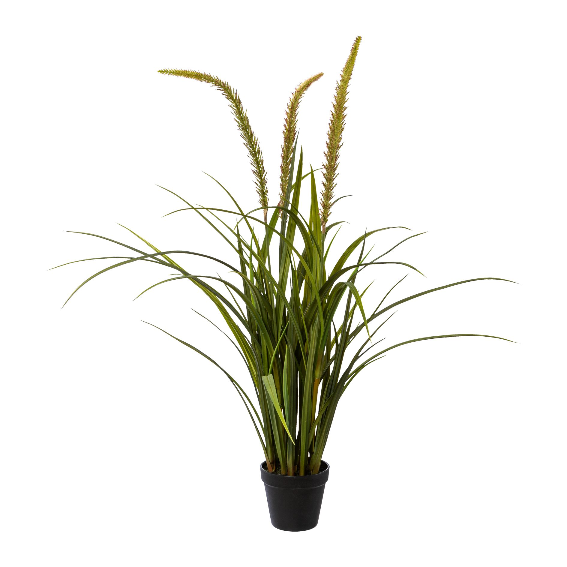 Gasper Kunstpflanze Miscanthus im Topf  | Schubiger Möbel