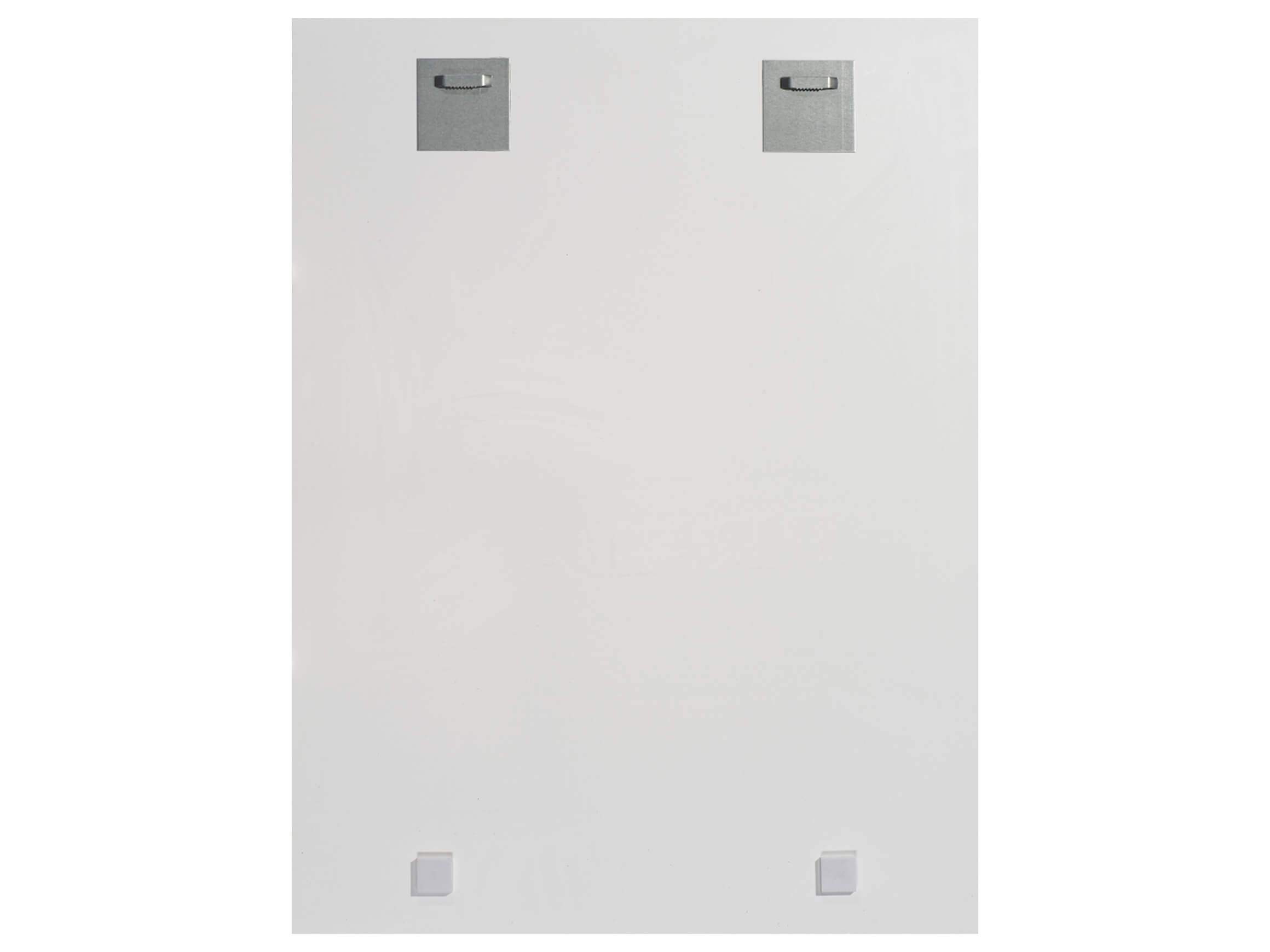 Digitaldruck auf Glas Hündin mit Rosa Schal und Sonnenbrille image LAND