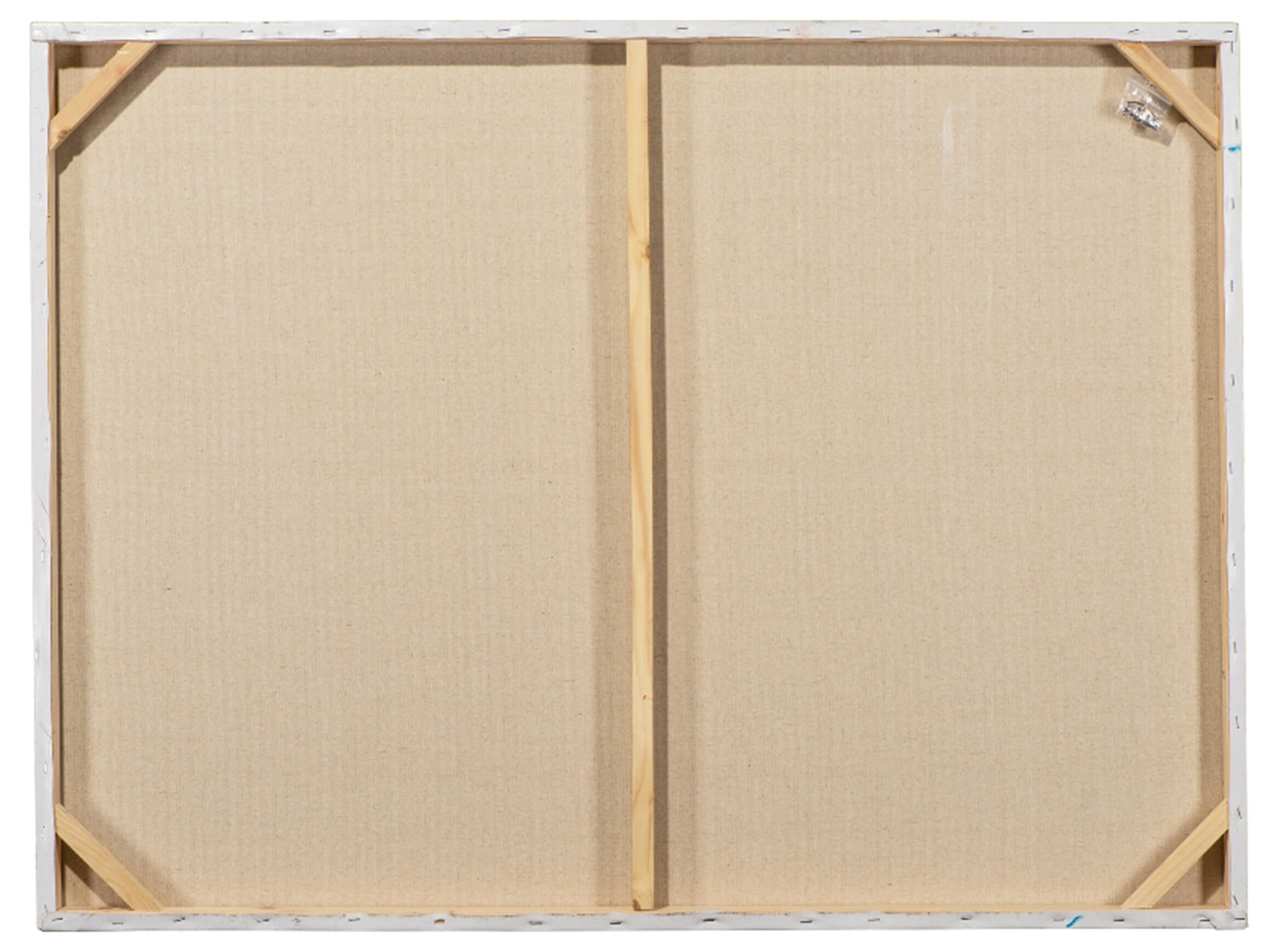 Bild Lustige Kühe image LAND