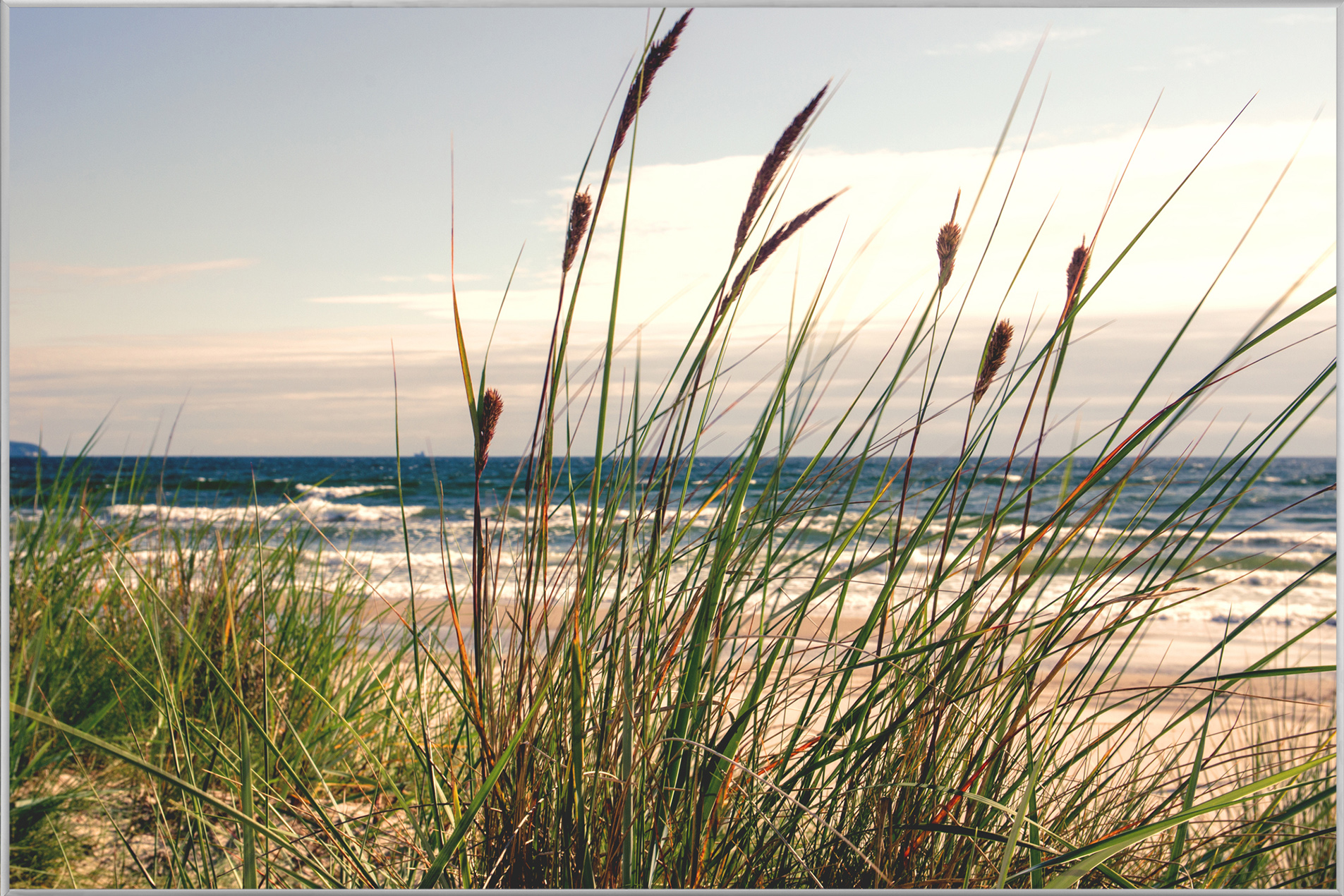 Bild mit Rahmen-Seegras-image LAND