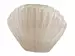 Vase Muschel Sand H: 22 cm Edg