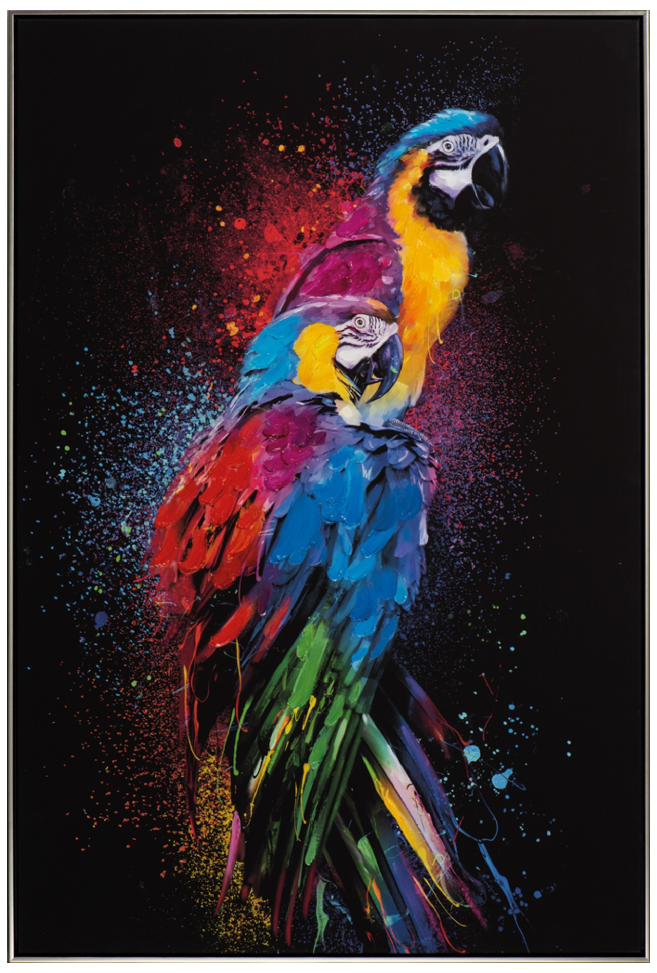 Bild Farbenprächtige Papageien image LAND / Farbe: Mehrfarbig Schwarz