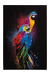Bild Farbenprächtige Papageien image LAND / Farbe: Mehrfarbig Schwarz