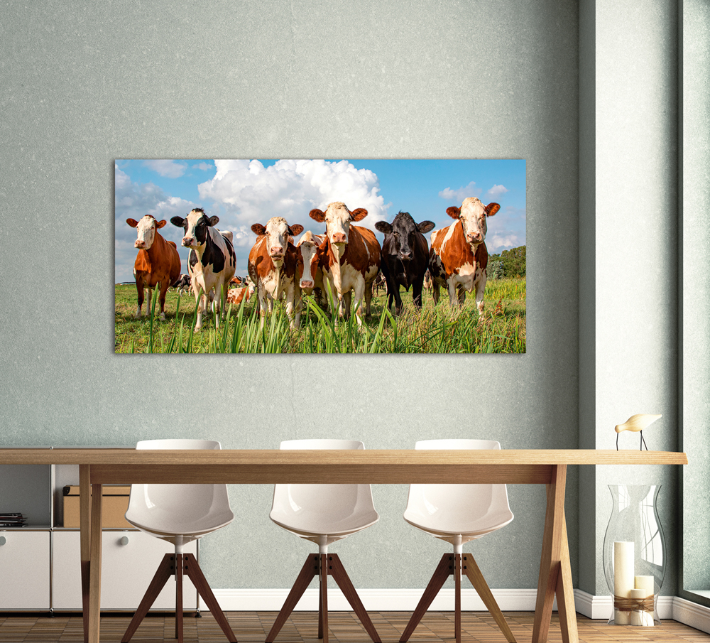 Alubild Milky Way image LAND
