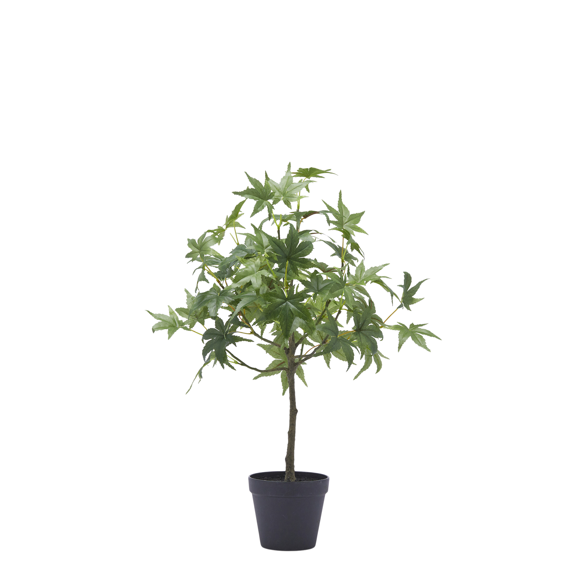 Kunstpflanze Ahornbaum H: 56 cm Edg