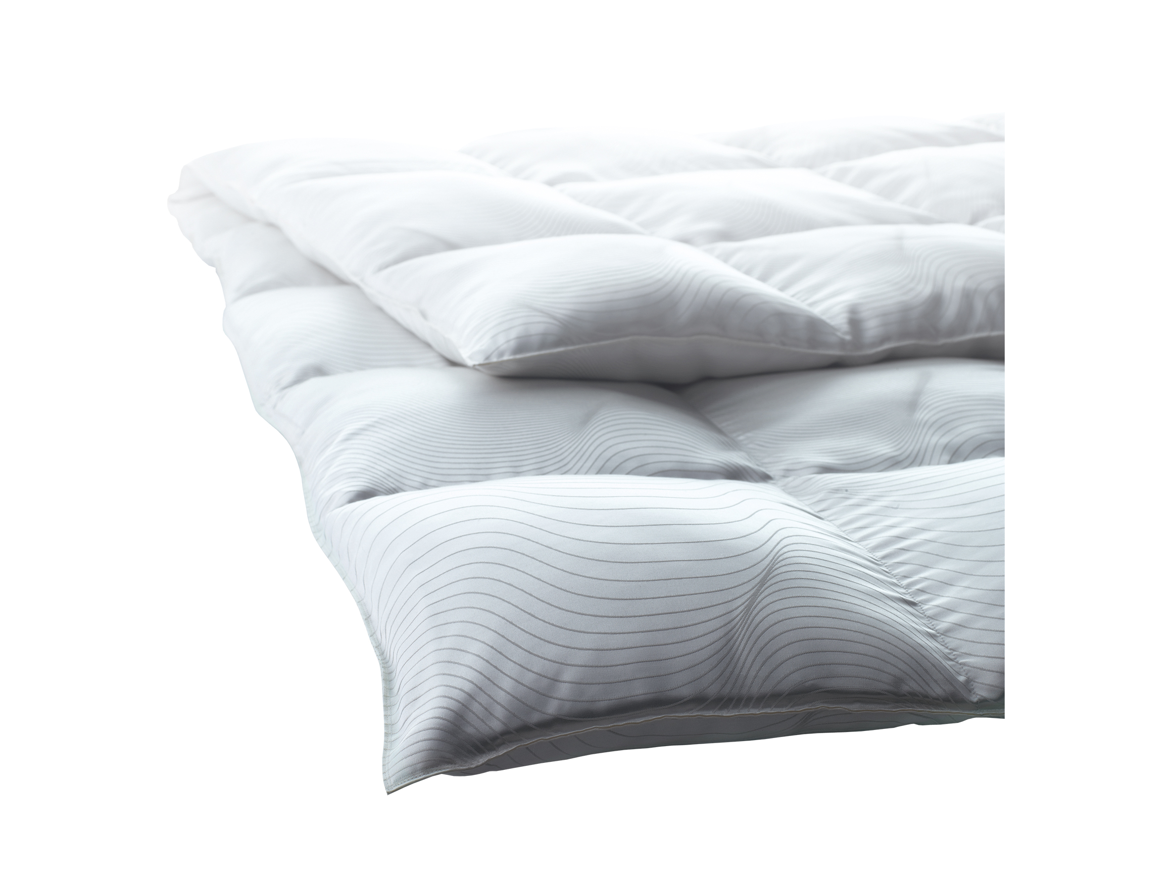 Kissen Eider Soft Plus Alpha Billerbeck / Farbe: Weiss / Material: