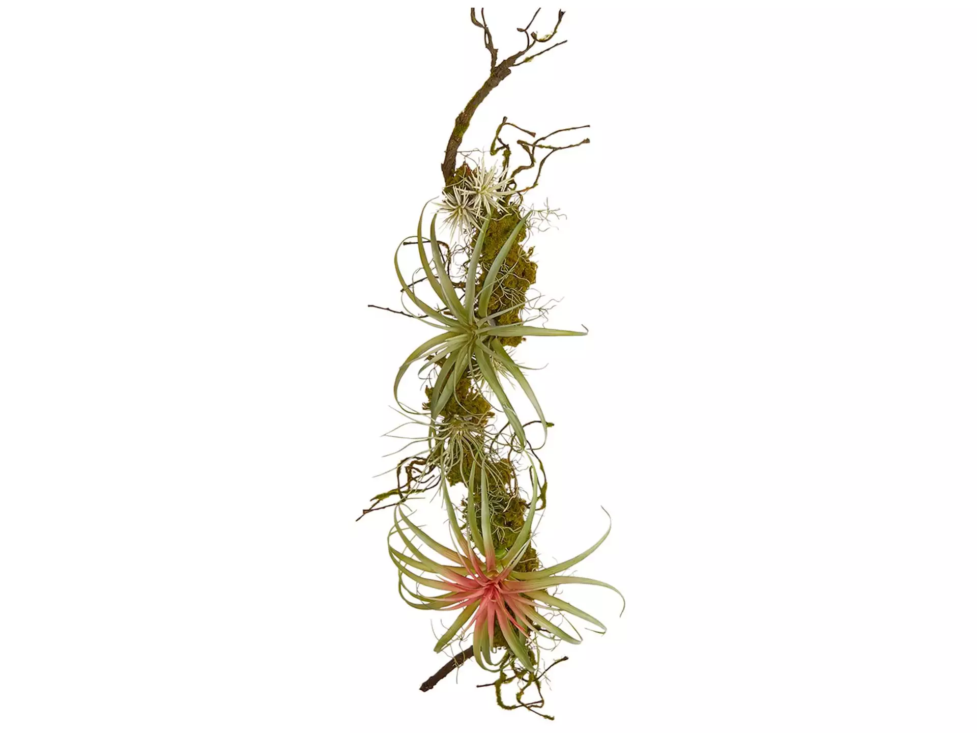 Kunstpflanze Tillandsia Hellgrün h: 94 cm