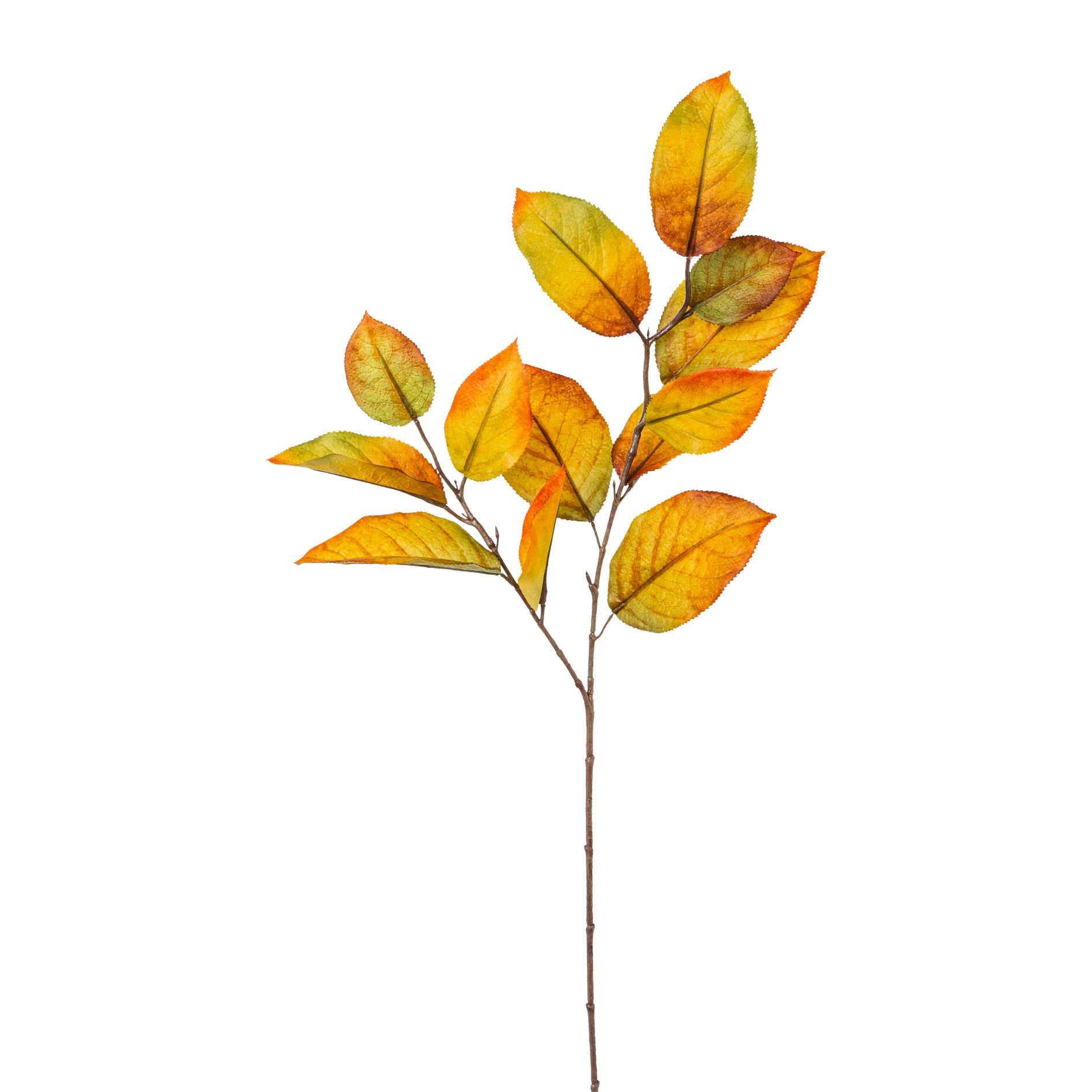 Gasper Kunstblumen Maulbeerblattzweig, Herbstmix H: 68 cm  | Schubiger Möbel