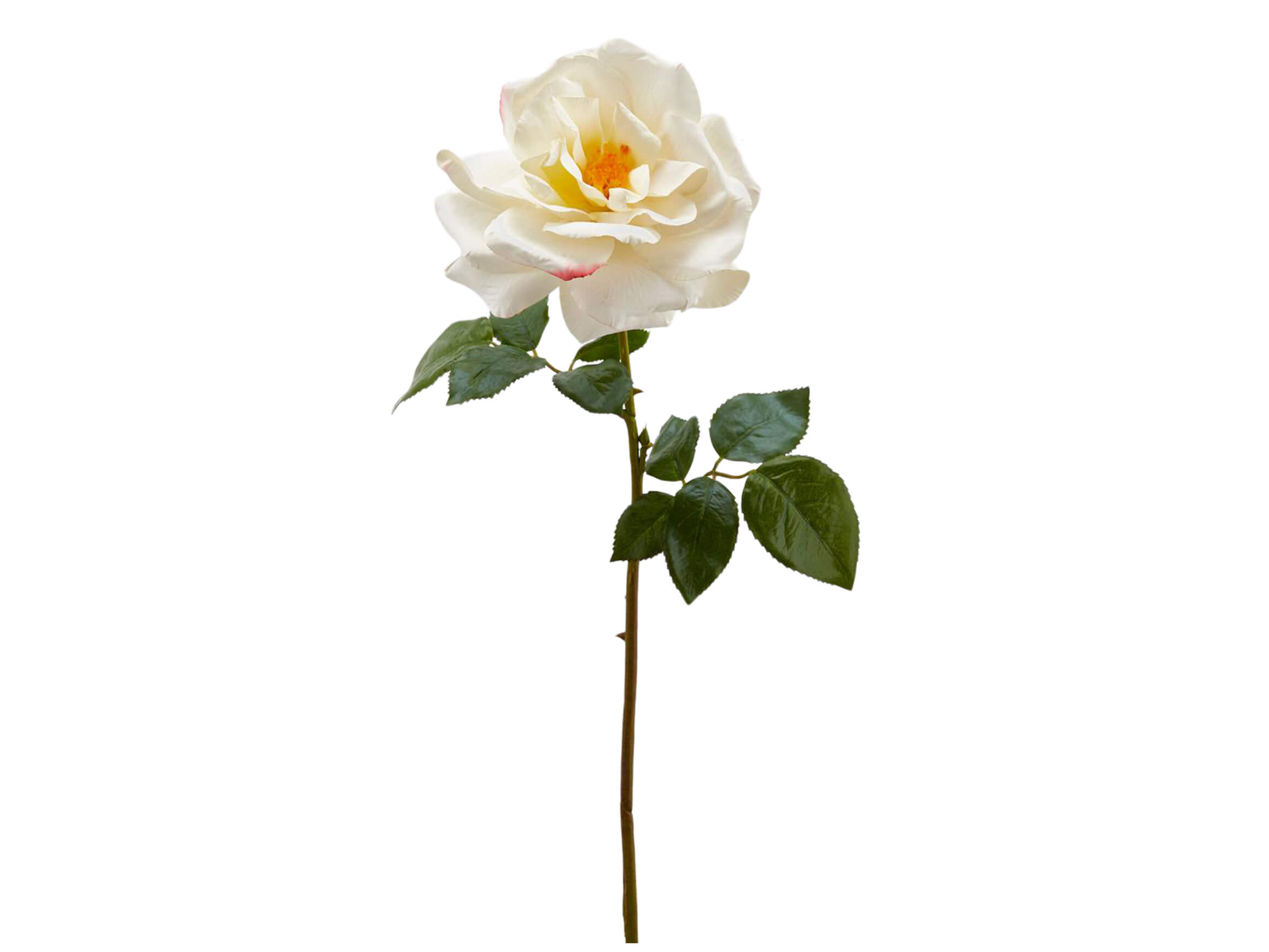 Edg Kunstblumen Rose Weiss H: 56 cm  | Schubiger Möbel