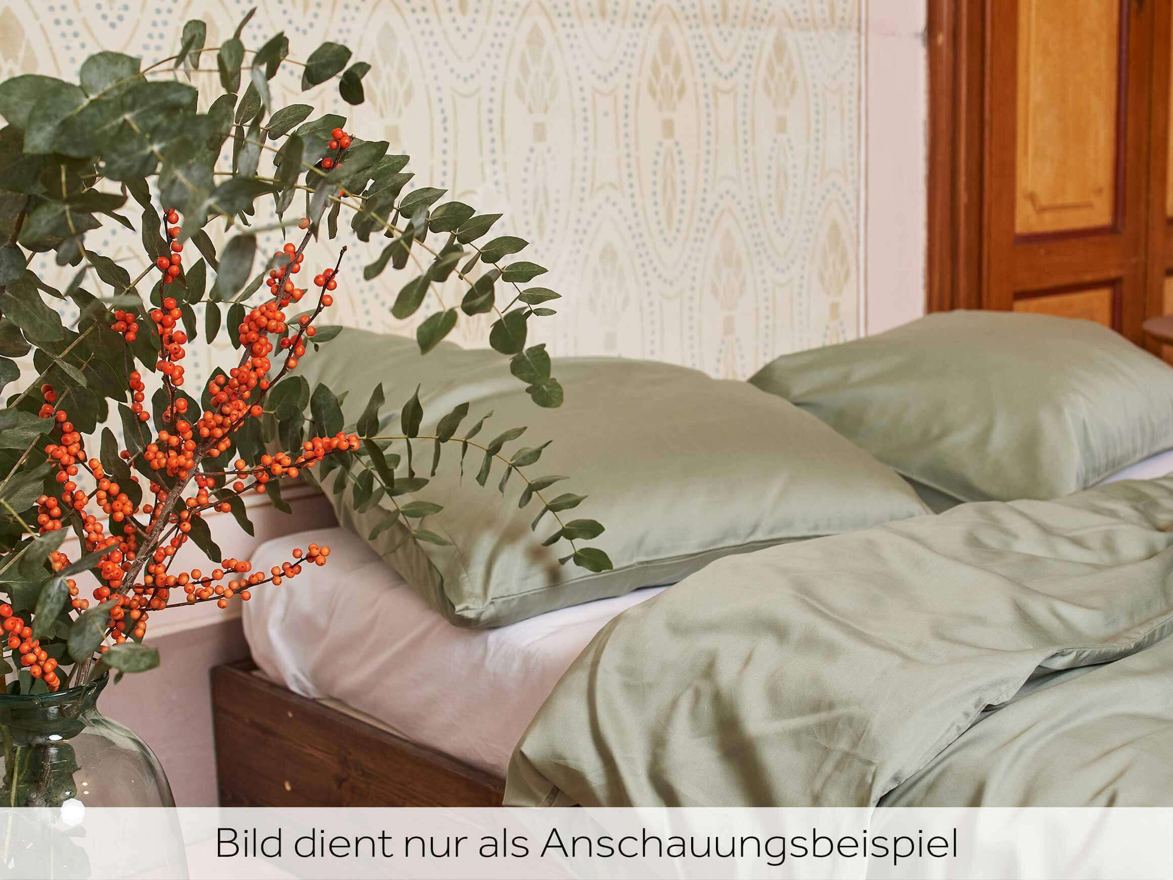 Kissenbezug Braga Eucalyptus Balsiger