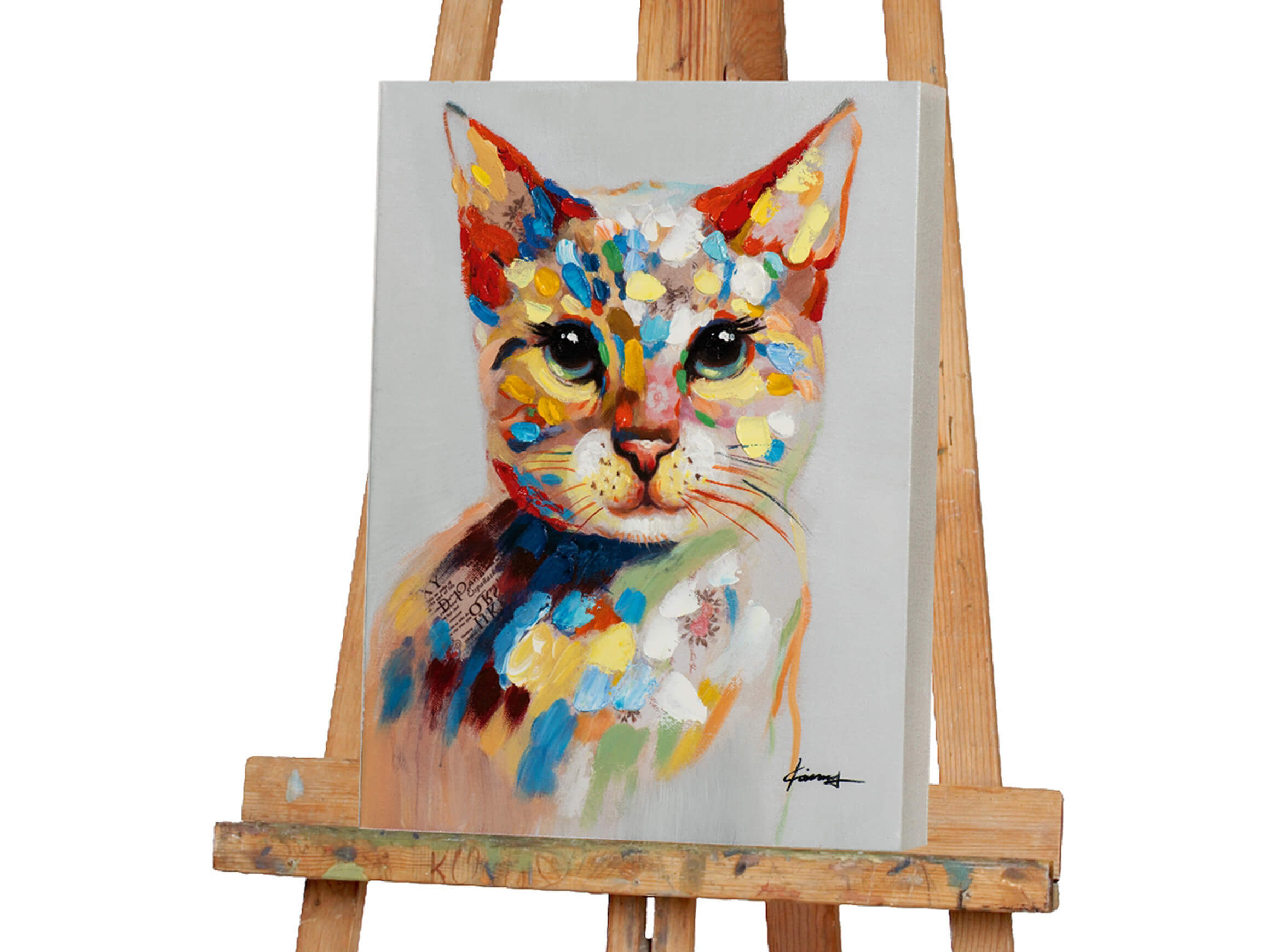 Bild Buntes Kätzchen image LAND