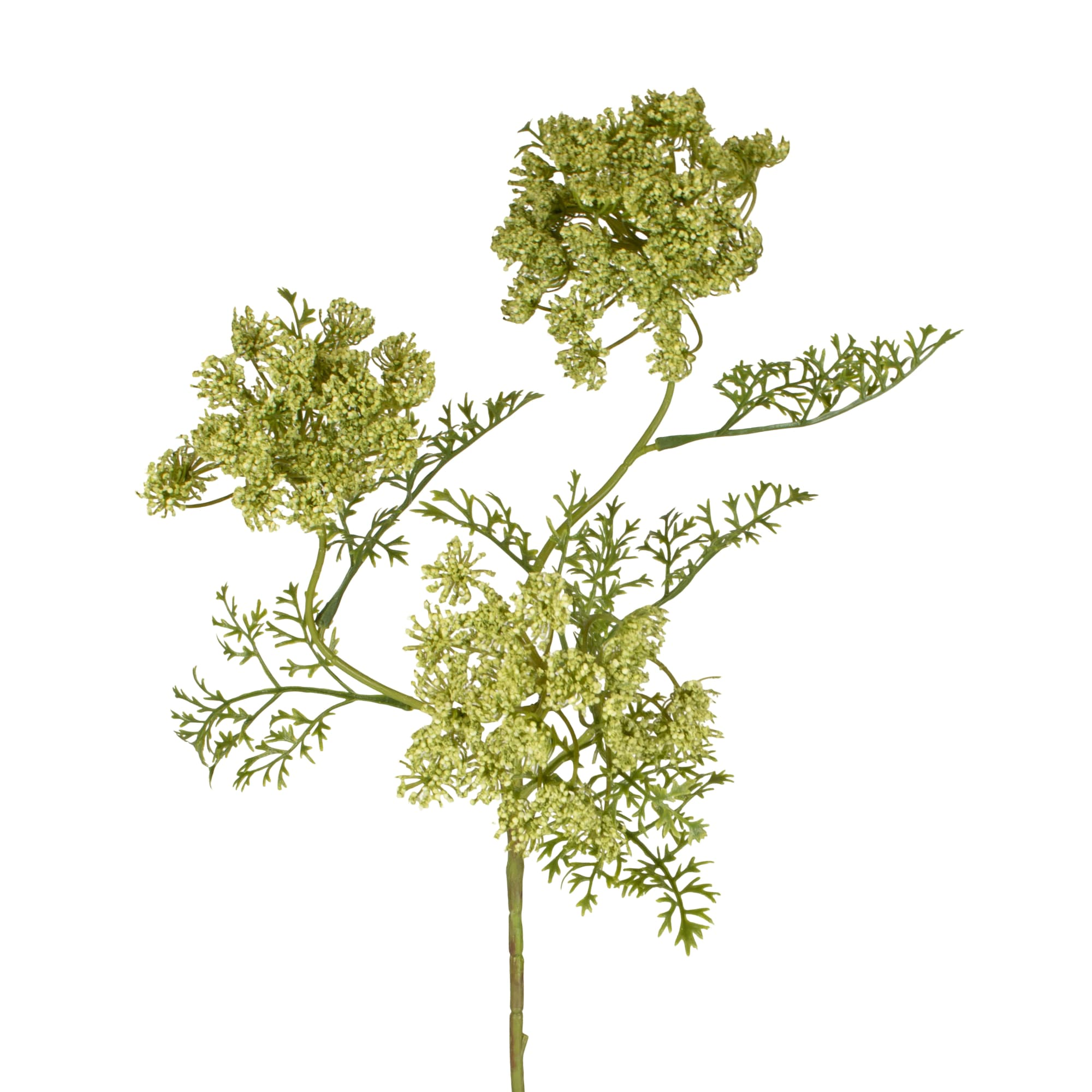 Kunstblume Dillzweig Grün H: 75 cm Decofinder