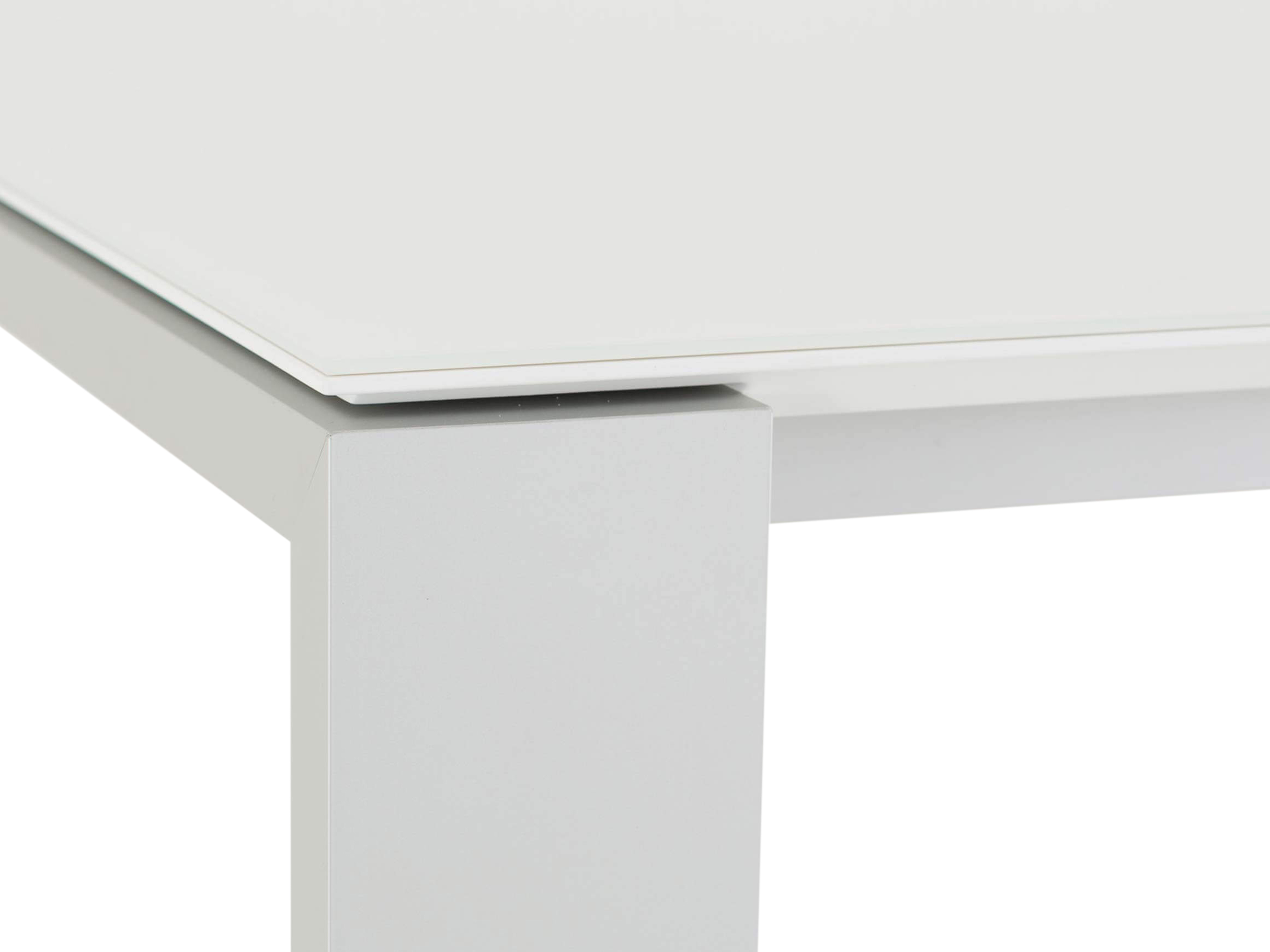 Esstisch Maleo Willisau / Tischblattmass (BxT) :220 x 95 cm / Tischblatt-Material: Glas