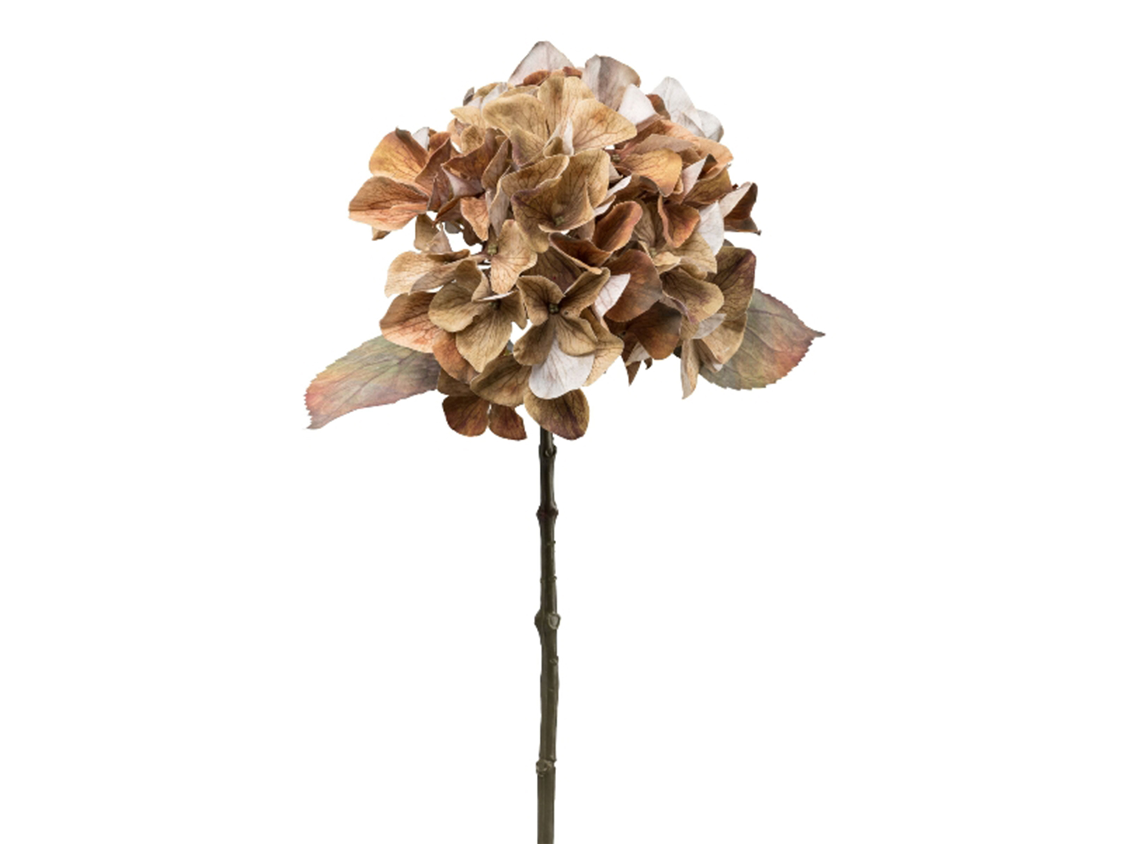 Gasper Kunstblume Hortensie Braun H: 48 cm  | Schubiger Möbel