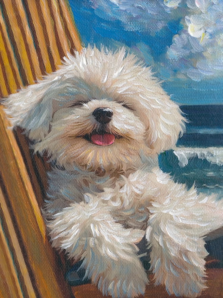 Image Fluffy Summer image LAND