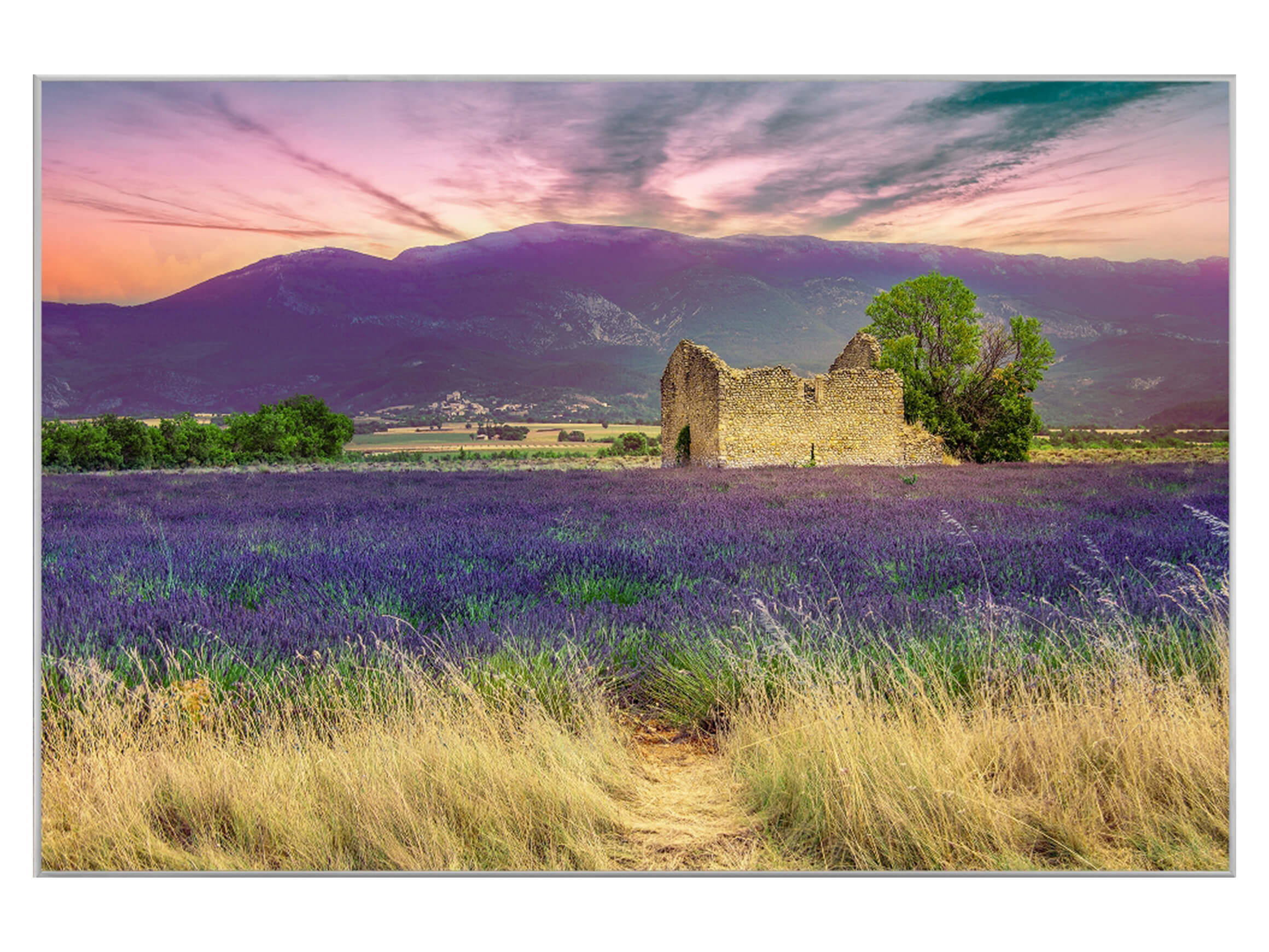 Digitaldruck auf Acrylglas Lavendelfeld 9 image LAND / Grösse: 90 x 60 cm