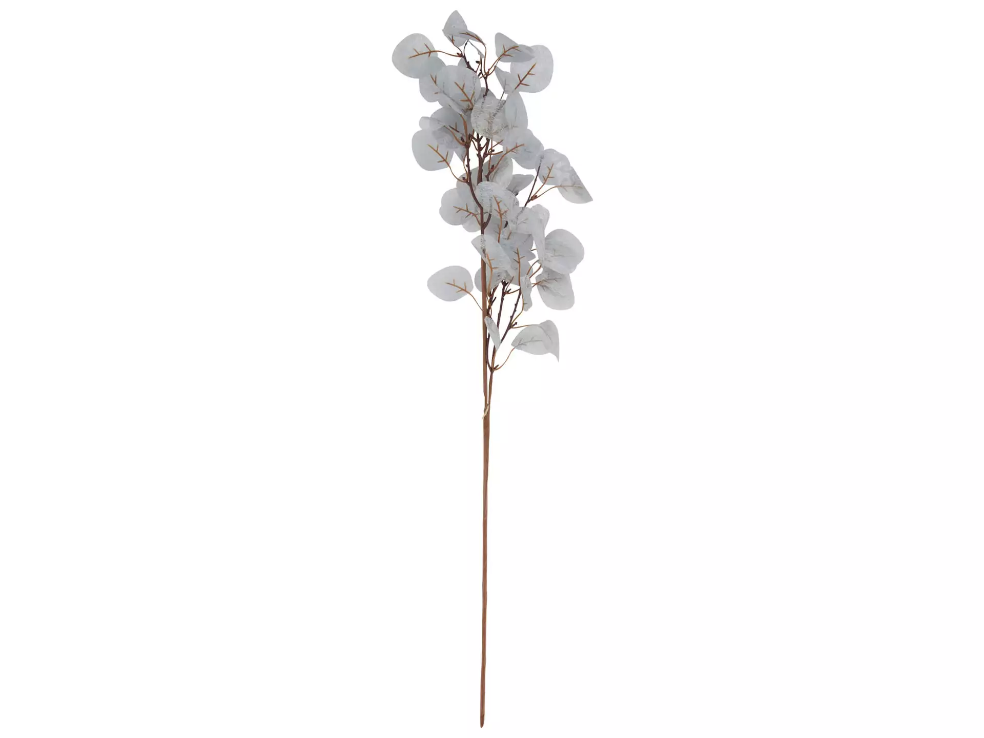 Kunstpflanze Eukalyptus Silber H: 77 cm Decofinder