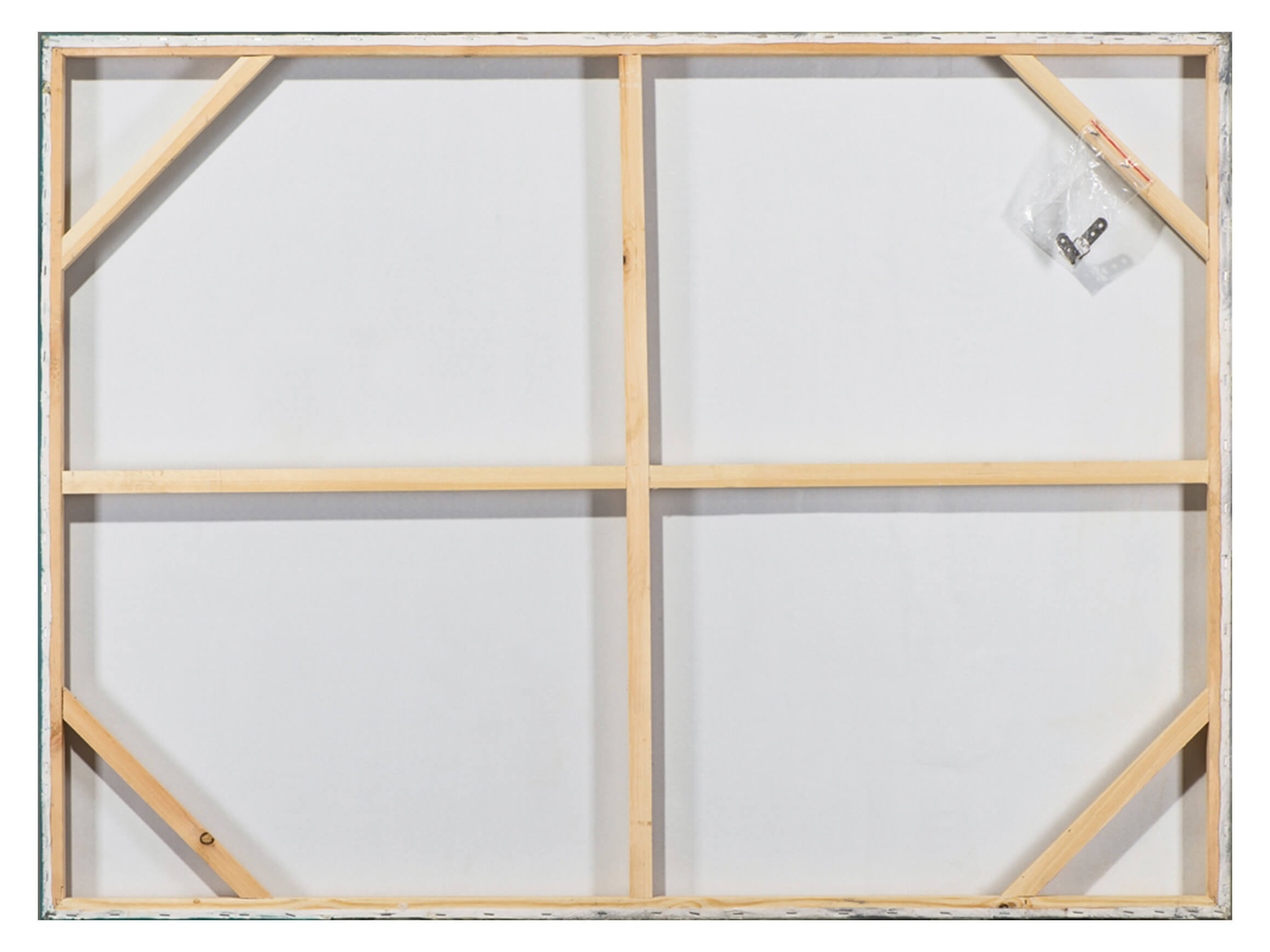 Bild Frau im Dschungel mit Blau-Buntem Papagei image LAND