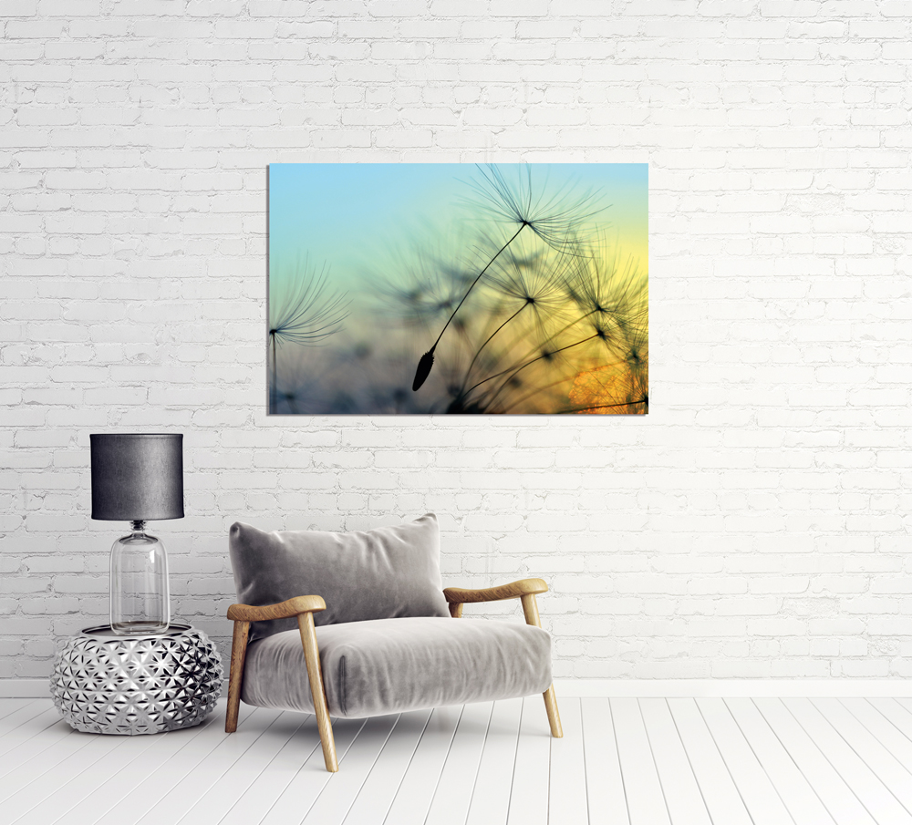 Alubild-Pusteblume 1-image LAND