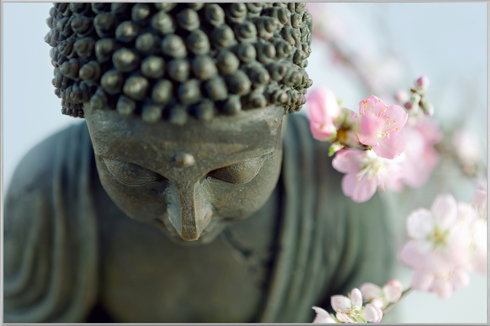Bild mit Rahmen-Buddha-image LAND