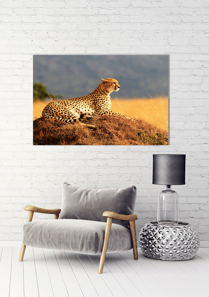 Alubild-Gepard-image LAND
