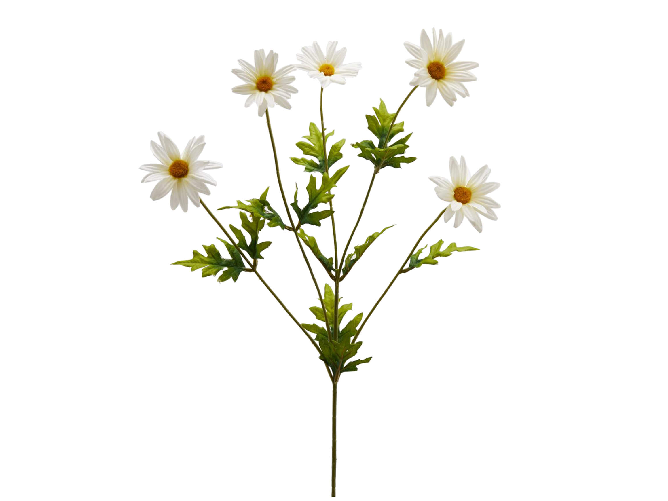 Artificial daisy flowers H: 75 cm Edg