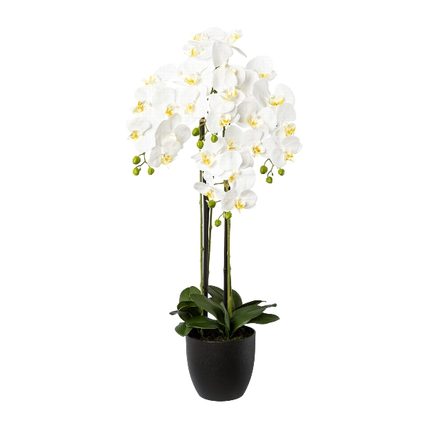 Gasper Kunstpflanze Orchidee im Resintopf,weiß H: 99 cm  | Schubiger Möbel