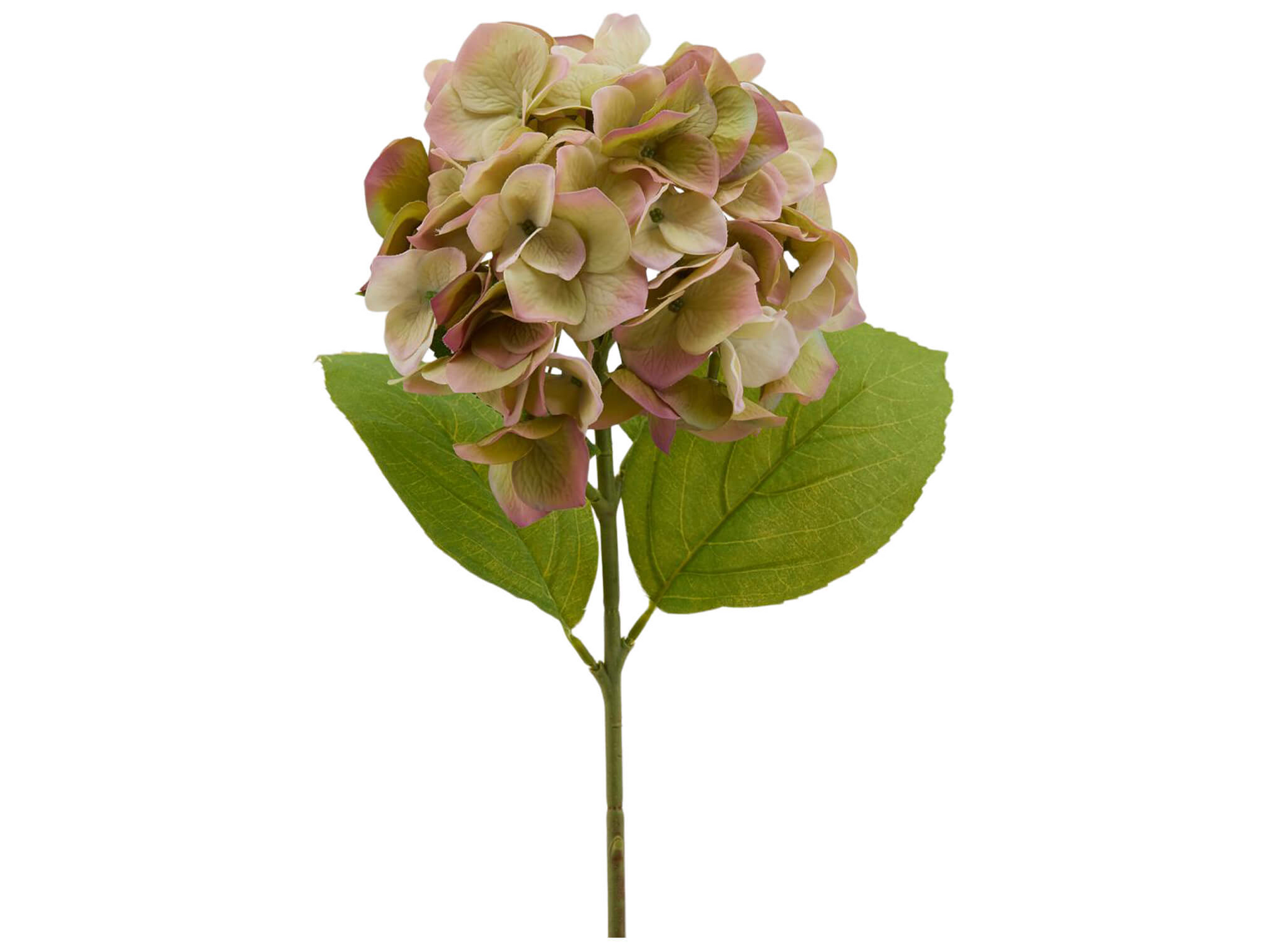 Kunstblume Hortensie Grün-Pink H: 50 cm Edg / Farbe: Grün Pink Kunstblume Hortensie Grün-Pink H: 50 cm Edg / Farbe: Grün Pink