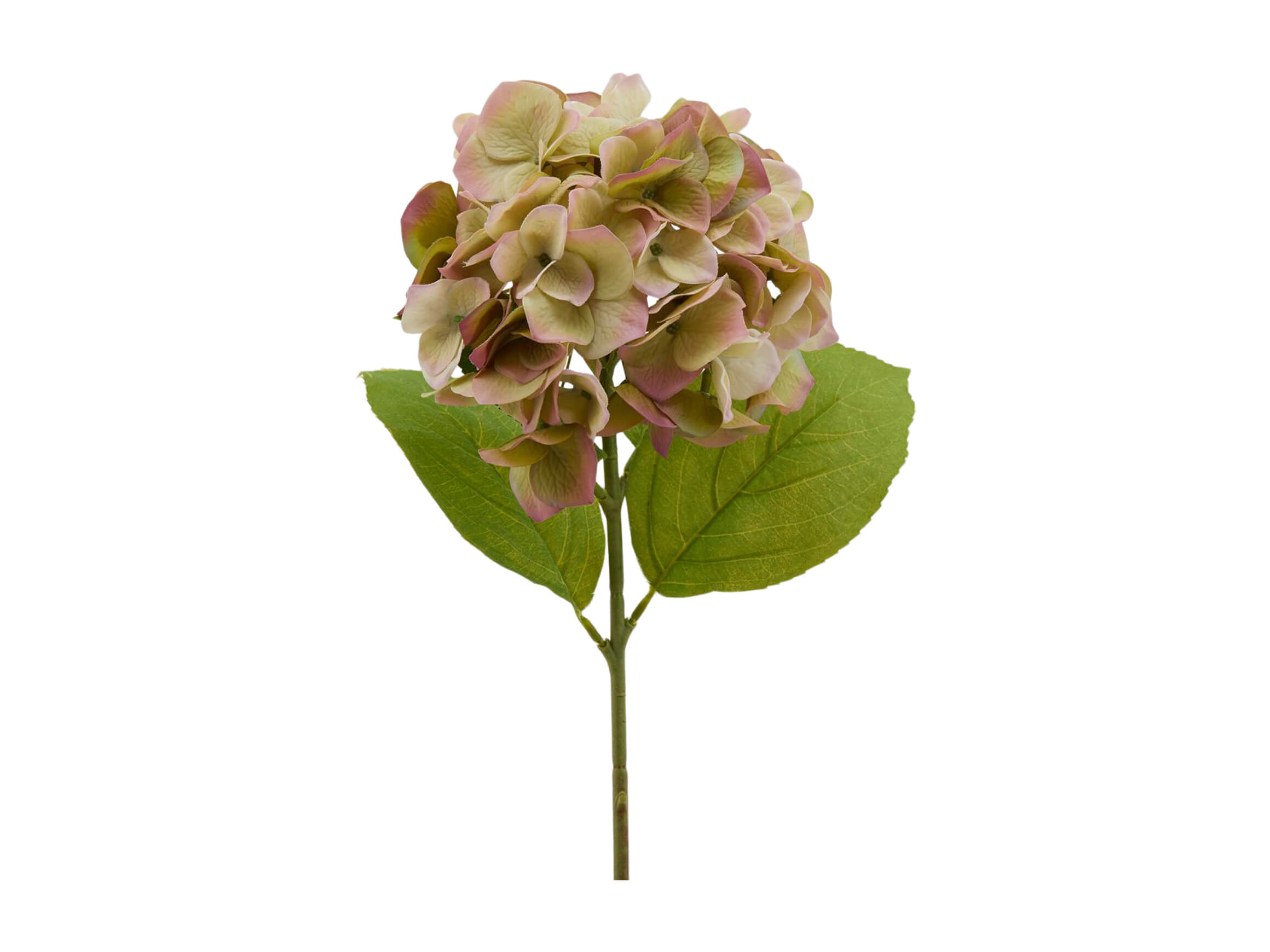 Kunstblume Hortensie Grün-Pink H: 50 cm Edg / Farbe: Grün Pink